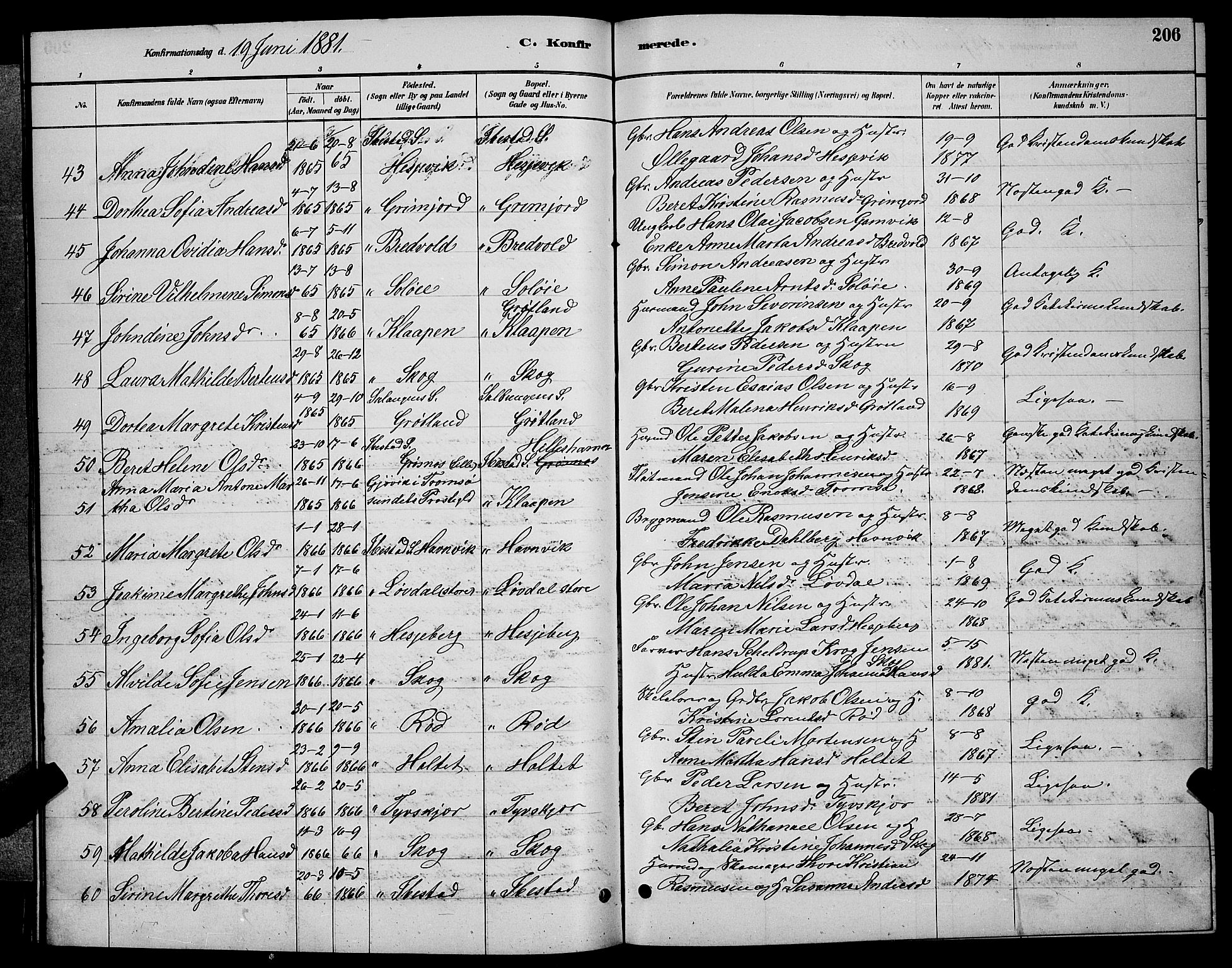 Ibestad sokneprestembete, AV/SATØ-S-0077/H/Ha/Hab/L0007klokker: Parish register (copy) no. 7, 1879-1889, p. 206