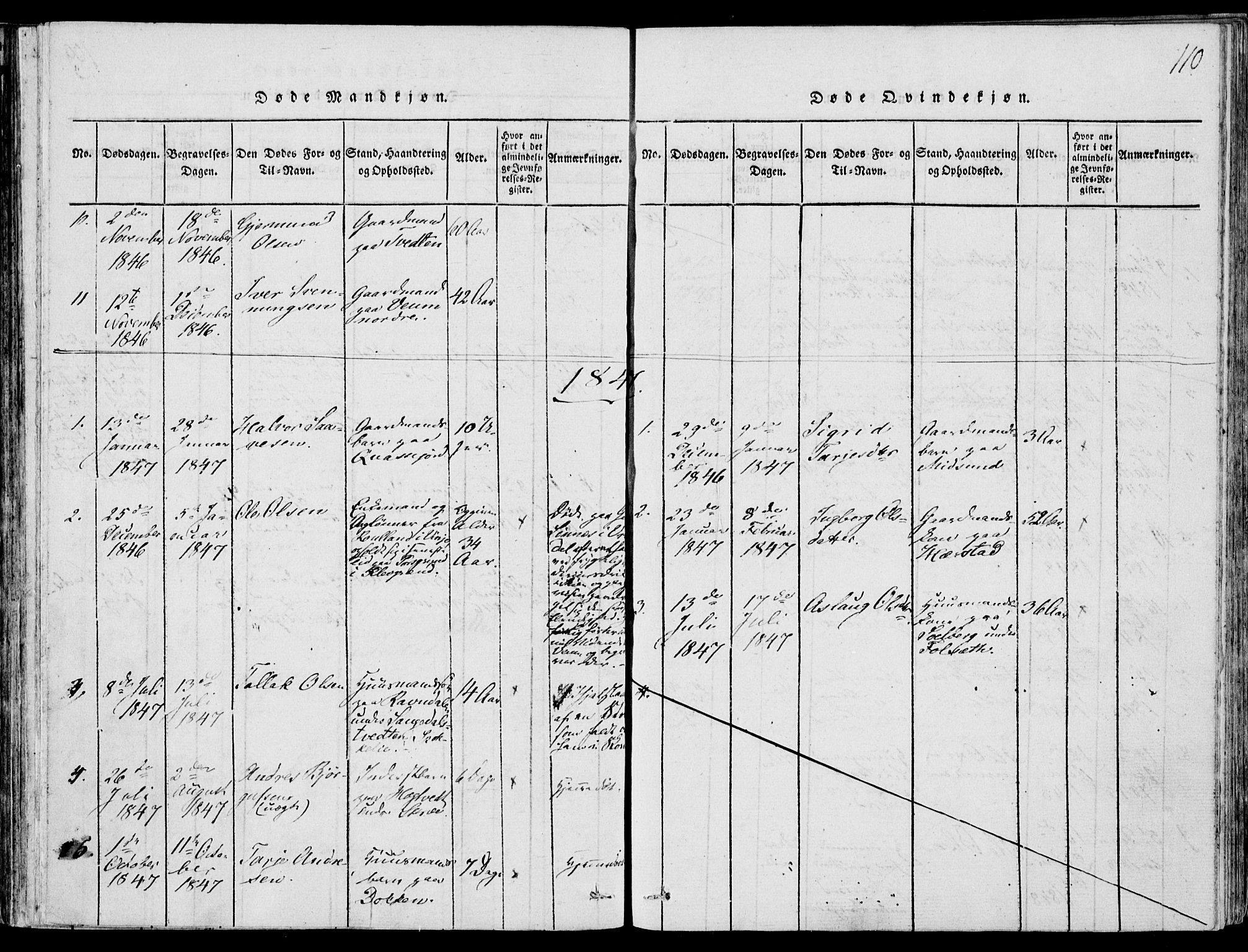 Fyresdal kirkebøker, SAKO/A-263/F/Fb/L0001: Parish register (official) no. II 1, 1815-1854, p. 110