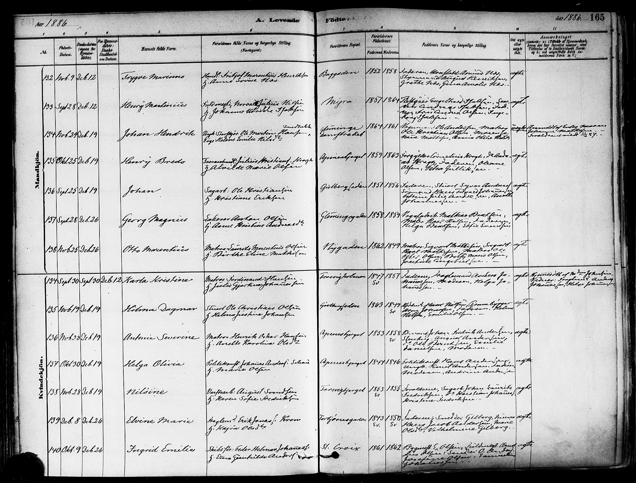 Fredrikstad domkirkes prestekontor Kirkebøker, AV/SAO-A-10906/F/Fa/L0002: Parish register (official) no. 2, 1878-1894, p. 165