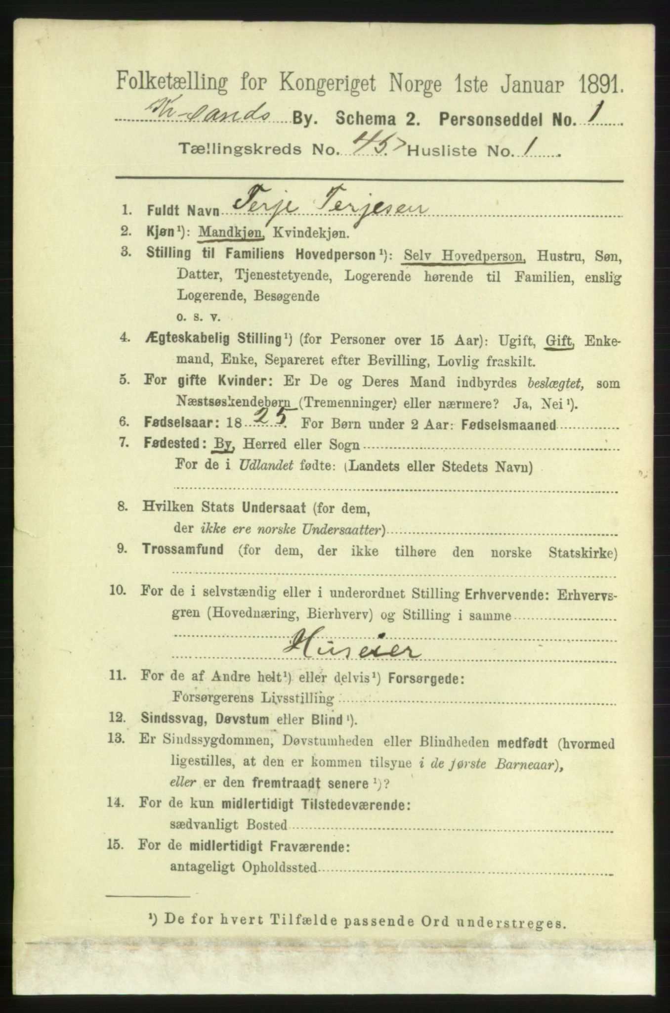 RA, 1891 census for 1001 Kristiansand, 1891, p. 13908