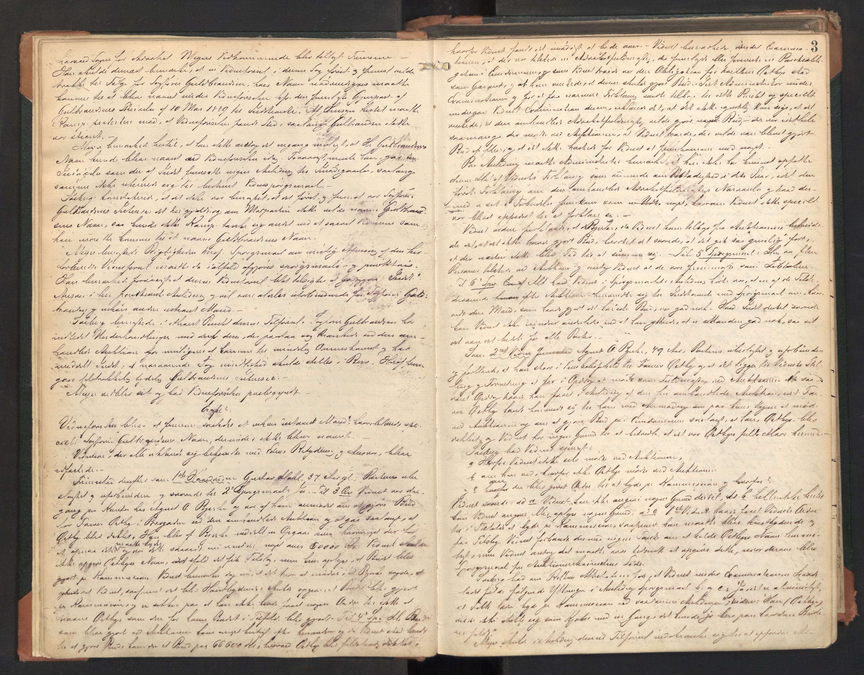 Aker sorenskriveri, AV/SAO-A-10895/F/Fc/Fcb/L0064: Ekstrarettsprotokoll, 1890-1895, p. 2b-3a