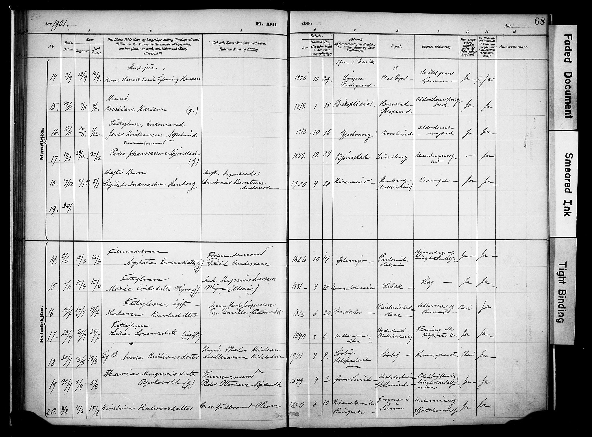 Nes prestekontor, Hedmark, AV/SAH-PREST-020/K/Ka/L0011: Parish register (official) no. 11, 1887-1905, p. 68