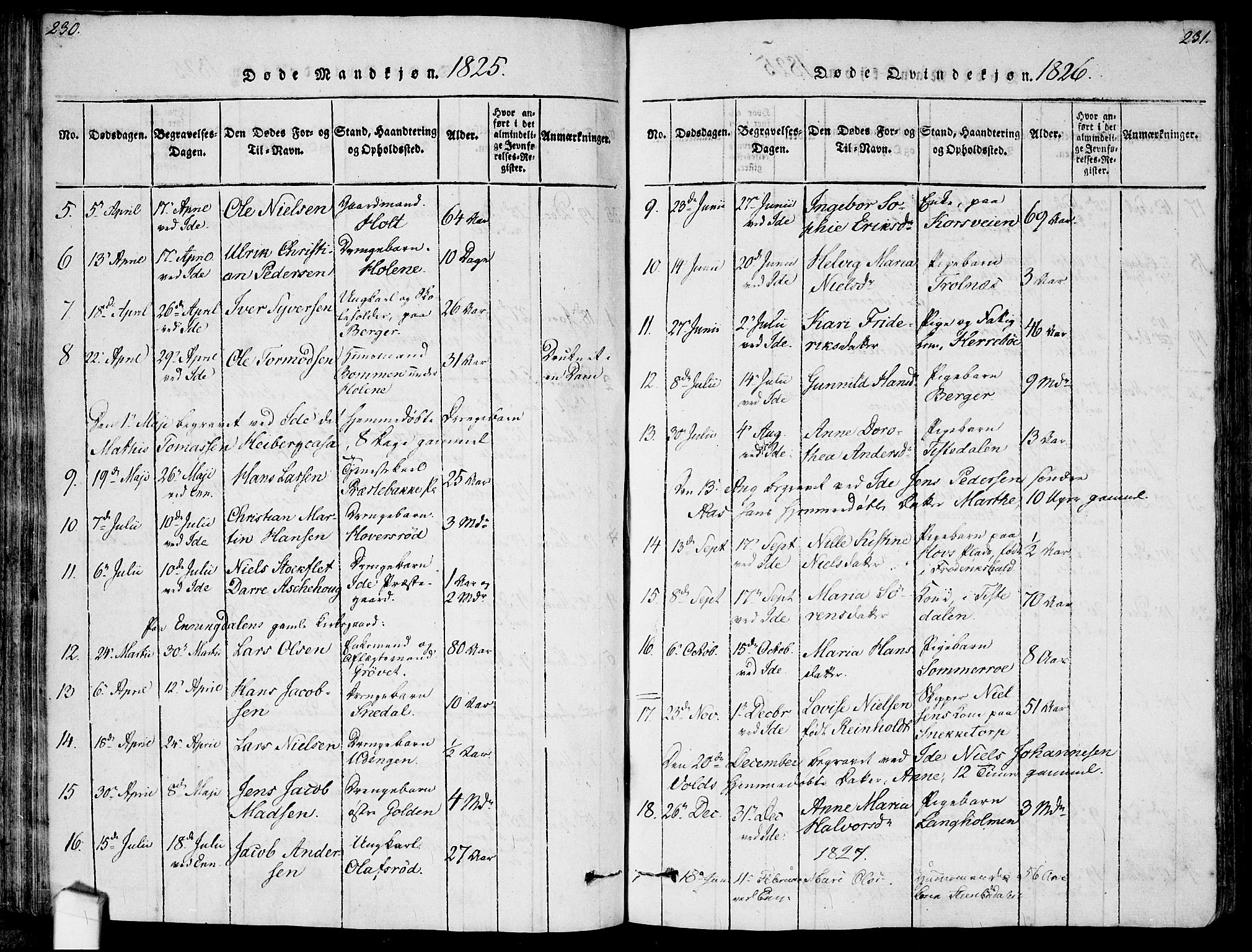 Idd prestekontor Kirkebøker, SAO/A-10911/F/Fc/L0002: Parish register (official) no. III 2, 1815-1831, p. 230-231