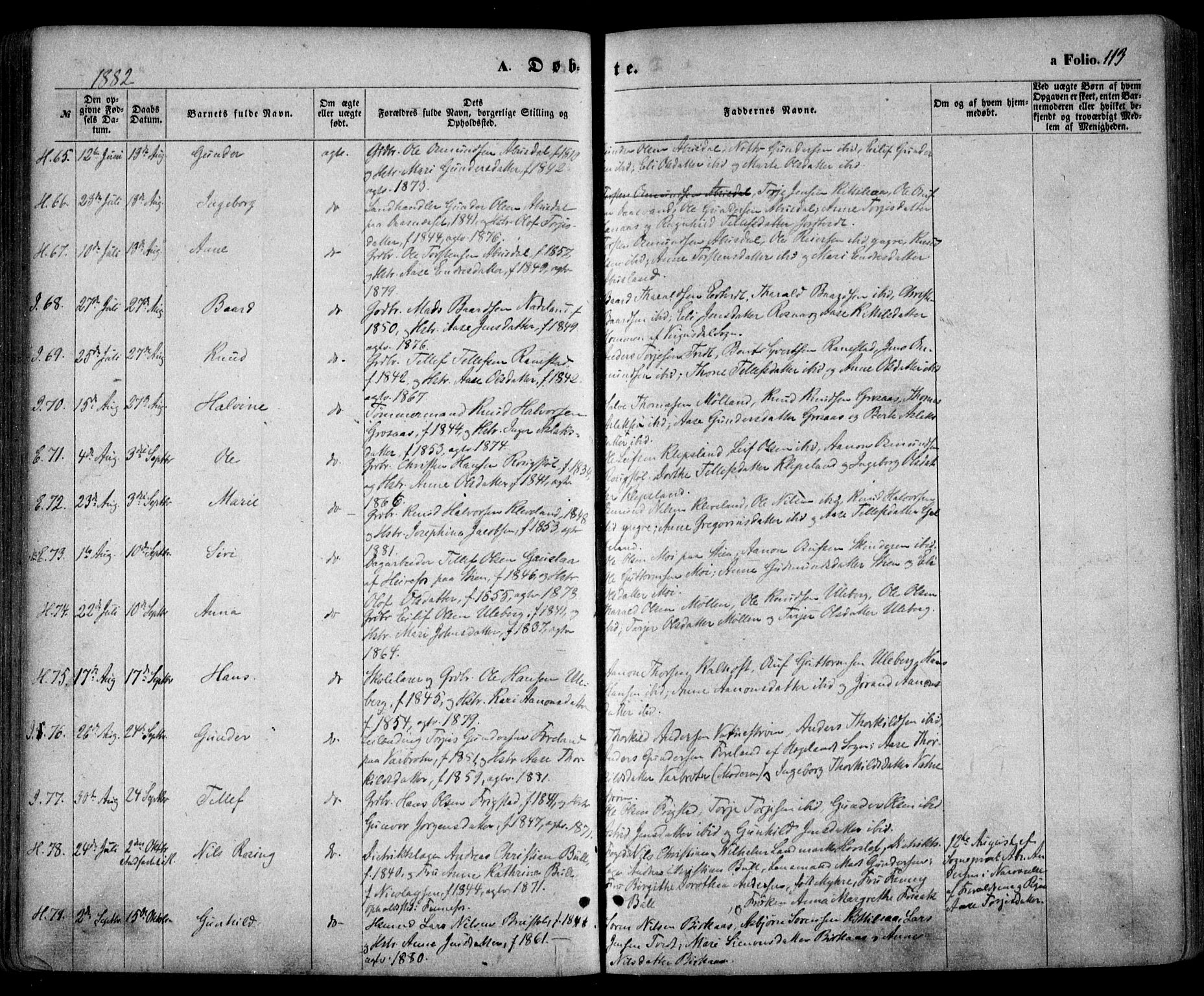 Evje sokneprestkontor, AV/SAK-1111-0008/F/Fa/Faa/L0006: Parish register (official) no. A 6, 1866-1884, p. 113