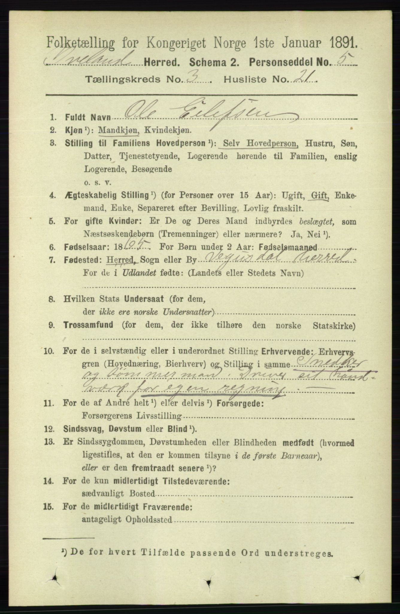 RA, 1891 census for 0935 Iveland, 1891, p. 865