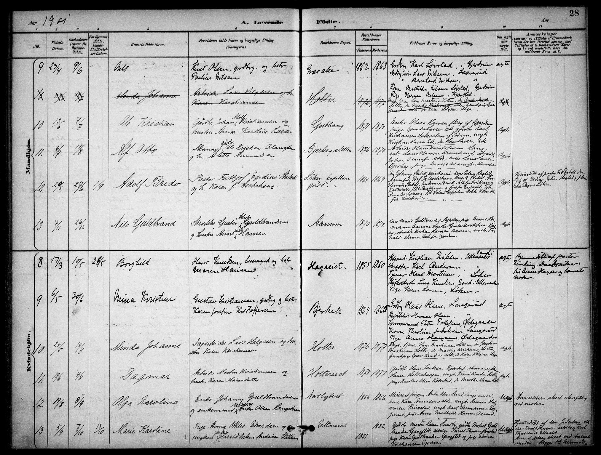 Nannestad prestekontor Kirkebøker, AV/SAO-A-10414a/F/Fb/L0002: Parish register (official) no. II 2, 1891-1909, p. 28