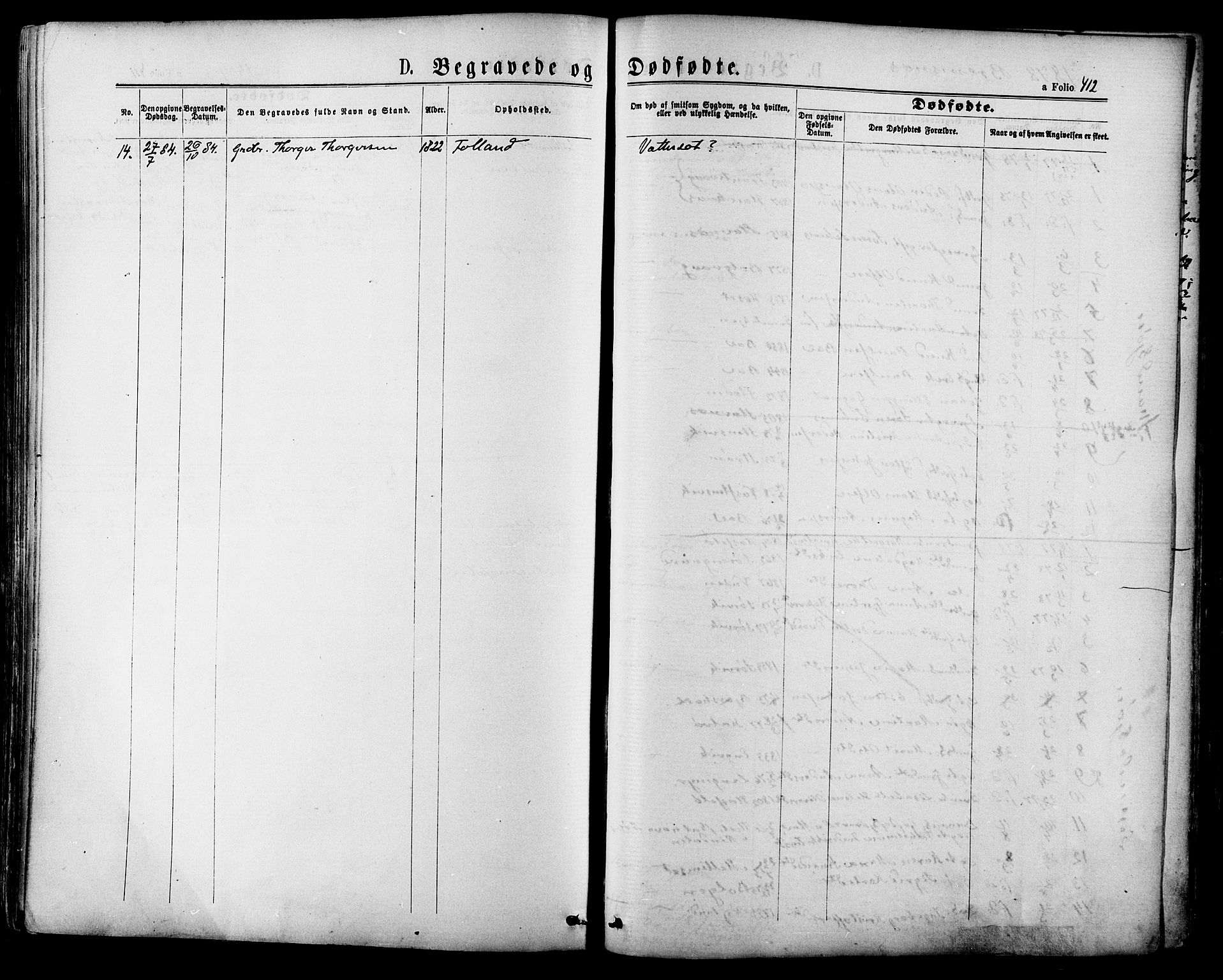 Ministerialprotokoller, klokkerbøker og fødselsregistre - Møre og Romsdal, AV/SAT-A-1454/568/L0806: Parish register (official) no. 568A12 /2, 1878-1884, p. 412