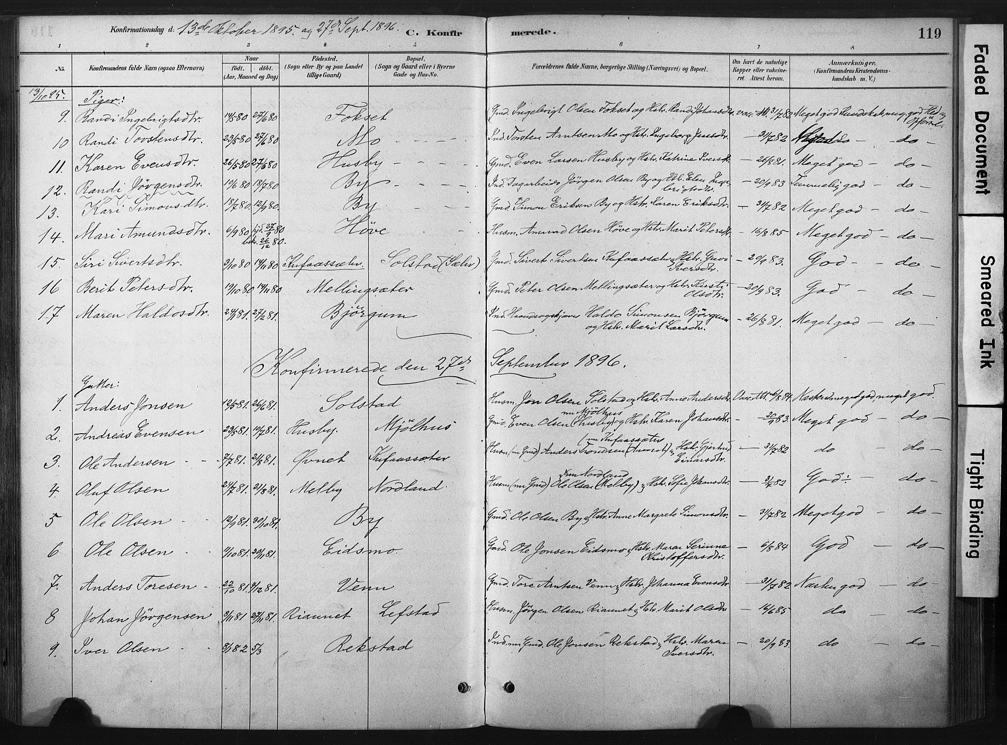 Ministerialprotokoller, klokkerbøker og fødselsregistre - Sør-Trøndelag, SAT/A-1456/667/L0795: Parish register (official) no. 667A03, 1879-1907, p. 119