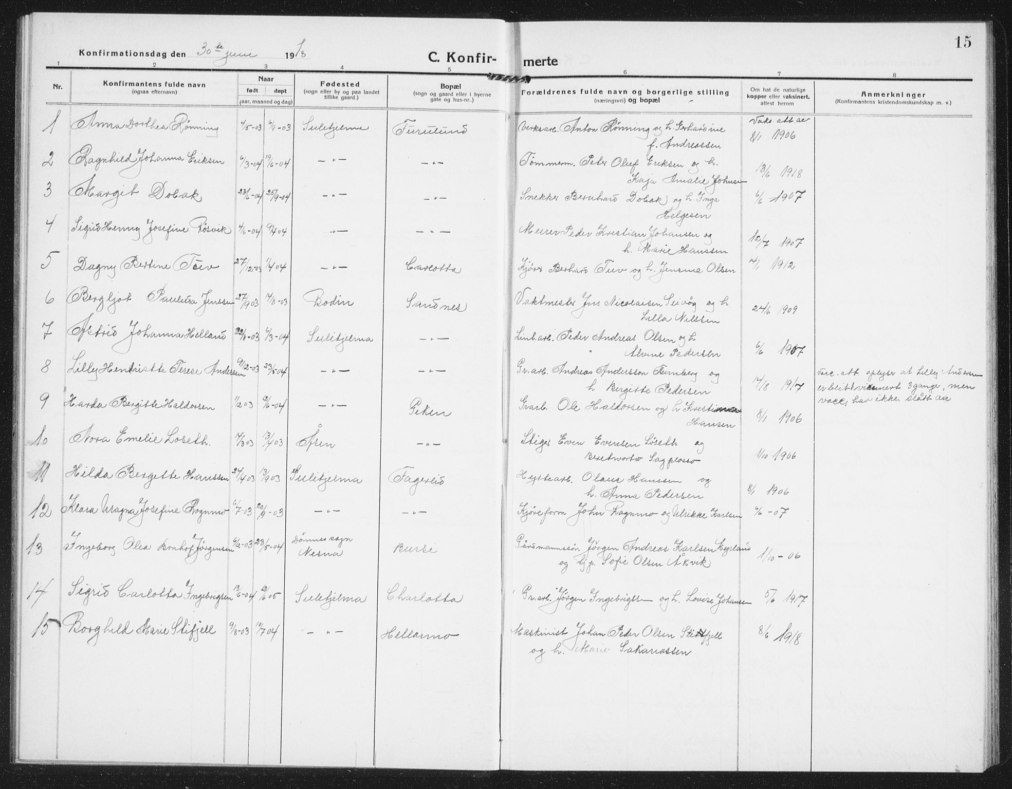 Ministerialprotokoller, klokkerbøker og fødselsregistre - Nordland, AV/SAT-A-1459/850/L0717: Parish register (copy) no. 850C01, 1915-1941, p. 15