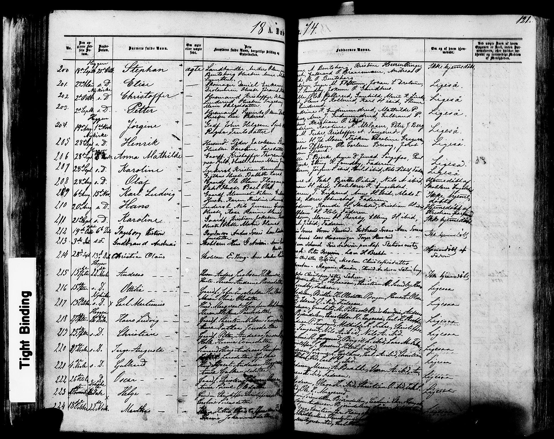 Modum kirkebøker, SAKO/A-234/F/Fa/L0010: Parish register (official) no. 10, 1865-1876, p. 121