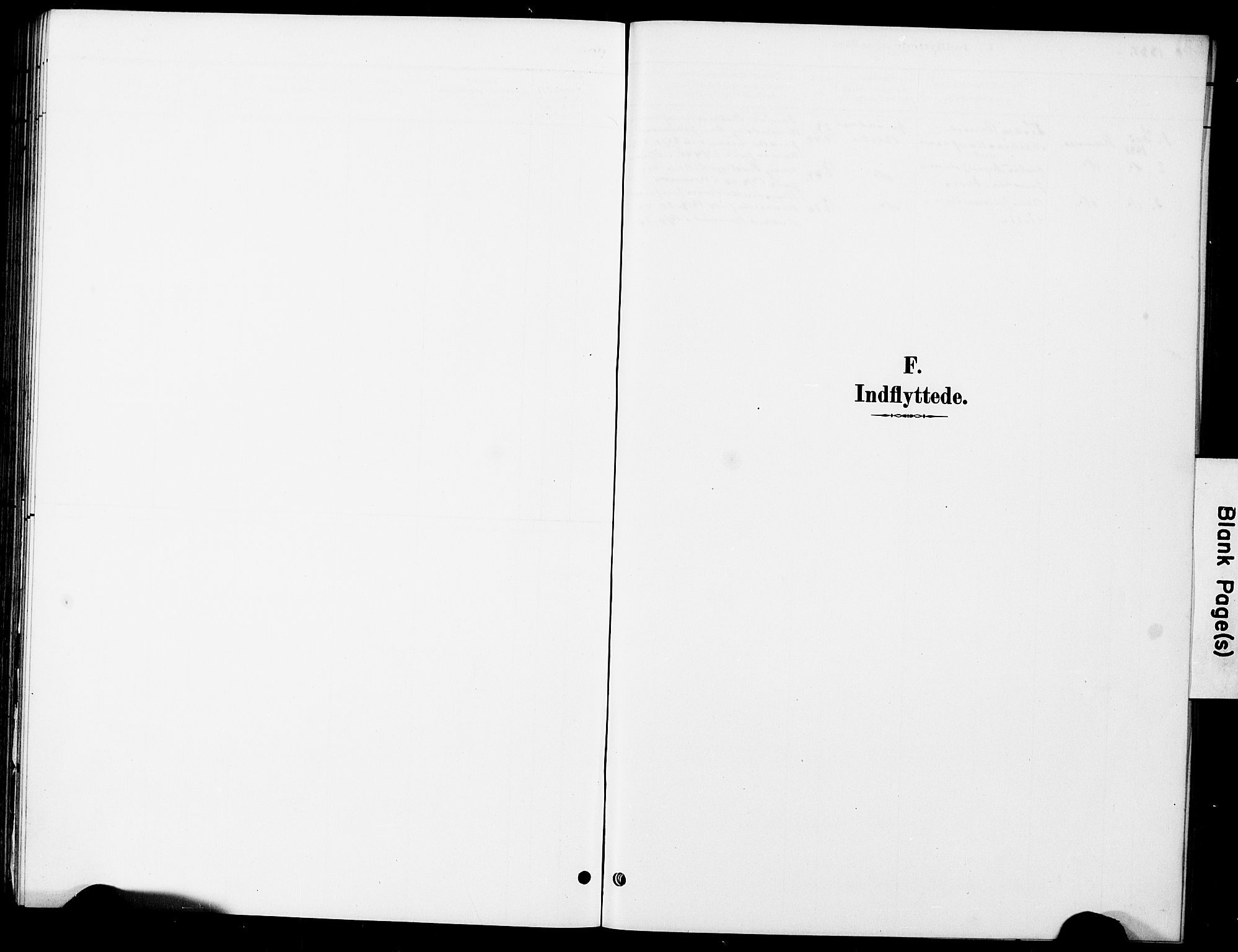 Ministerialprotokoller, klokkerbøker og fødselsregistre - Nordland, AV/SAT-A-1459/899/L1448: Parish register (copy) no. 899C03, 1887-1902