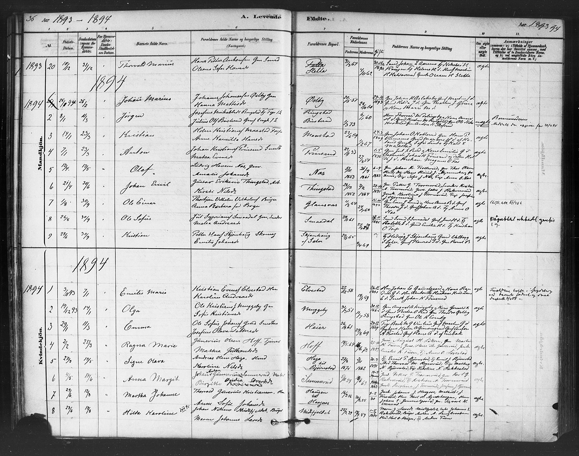 Trøgstad prestekontor Kirkebøker, SAO/A-10925/F/Fb/L0001: Parish register (official) no. II 1, 1878-1902, p. 36