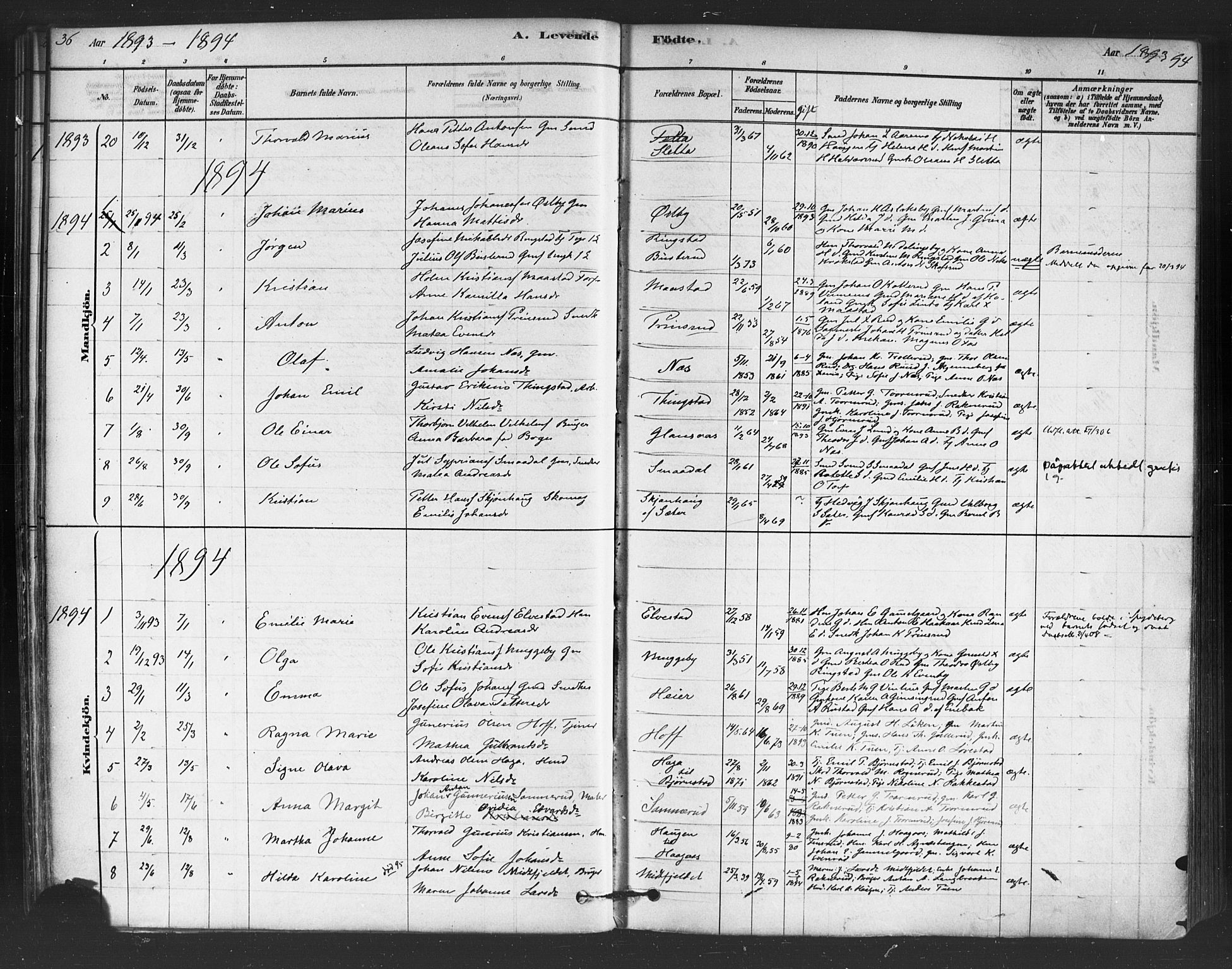 Trøgstad prestekontor Kirkebøker, AV/SAO-A-10925/F/Fb/L0001: Parish register (official) no. II 1, 1878-1902, p. 36