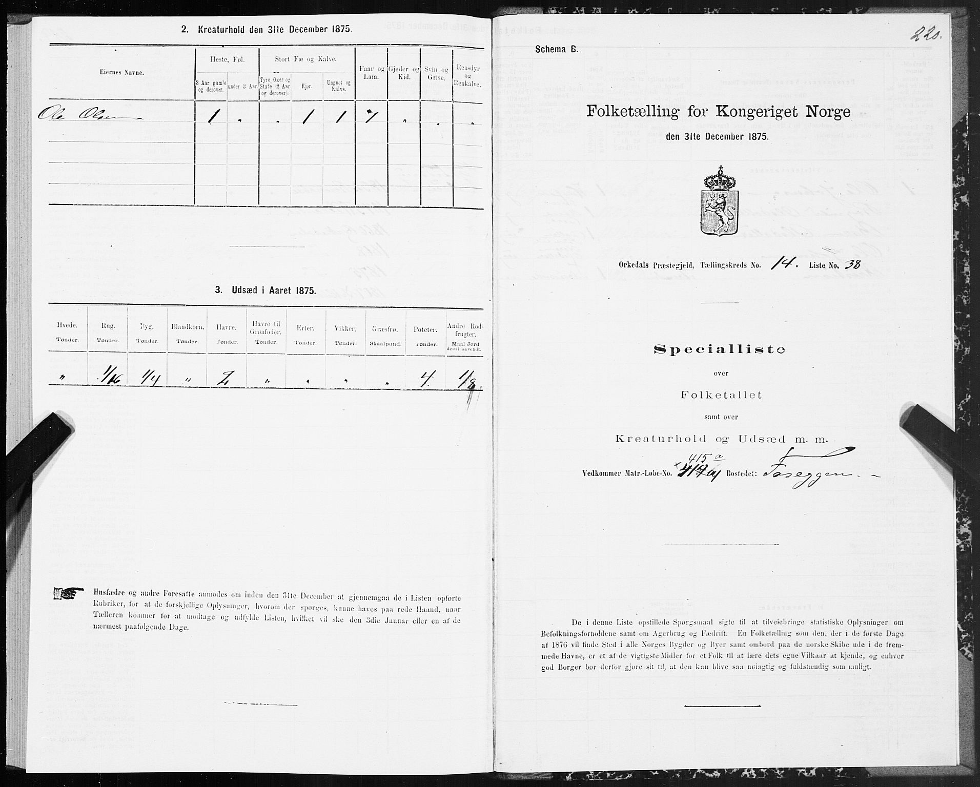 SAT, 1875 census for 1638P Orkdal, 1875, p. 7220