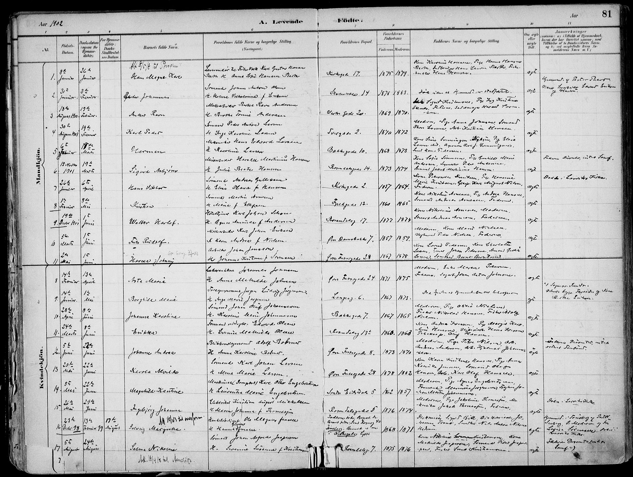 Larvik kirkebøker, AV/SAKO-A-352/F/Fb/L0004: Parish register (official) no. II 4, 1884-1902, p. 81