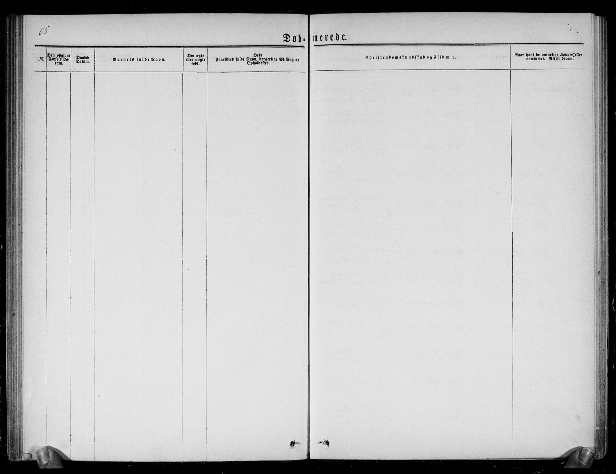 Brunlanes kirkebøker, AV/SAKO-A-342/G/Ga/L0002: Parish register (copy) no. I 2, 1866-1876, p. 65