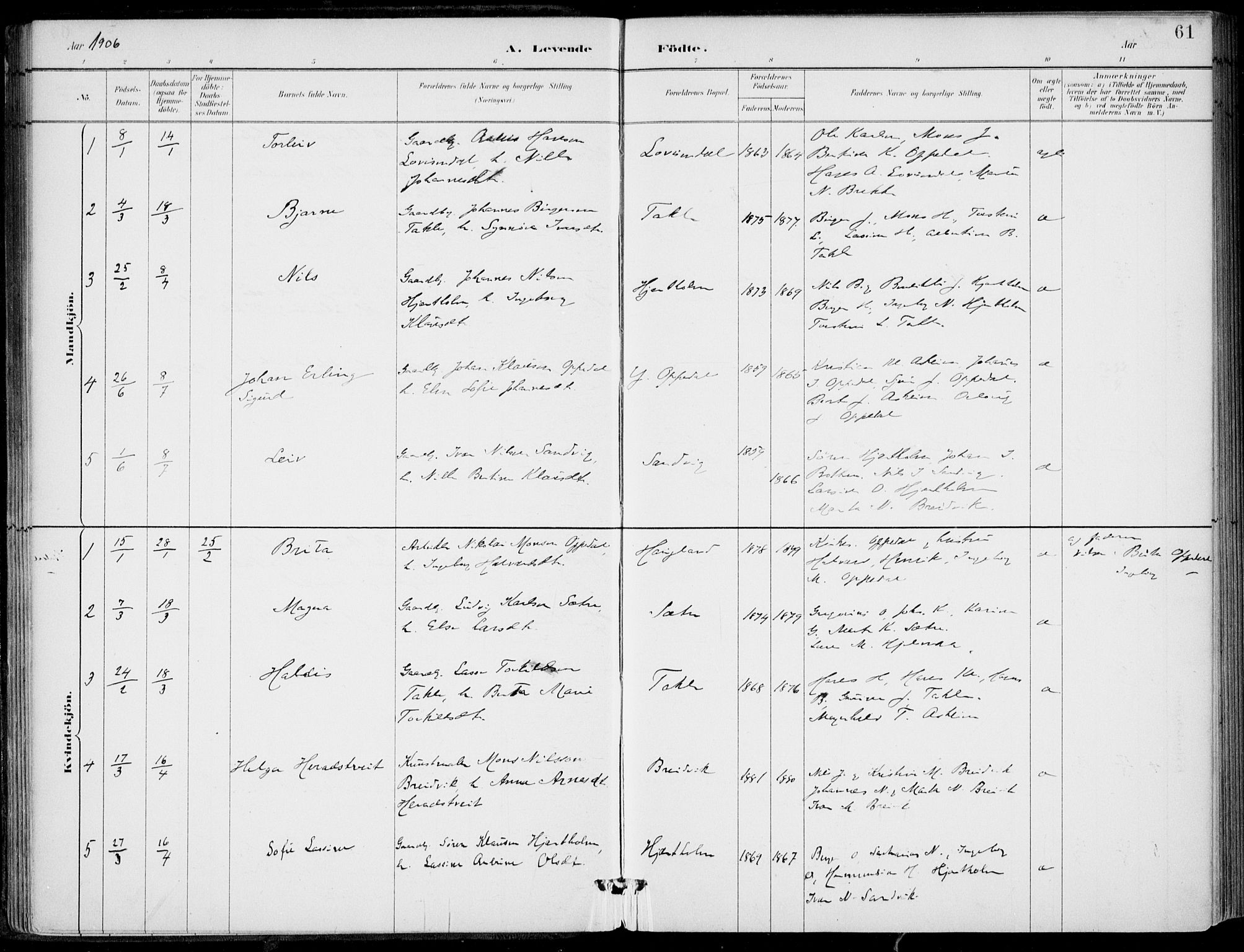 Gulen sokneprestembete, SAB/A-80201/H/Haa/Haac/L0002: Parish register (official) no. C  2, 1882-1914, p. 61