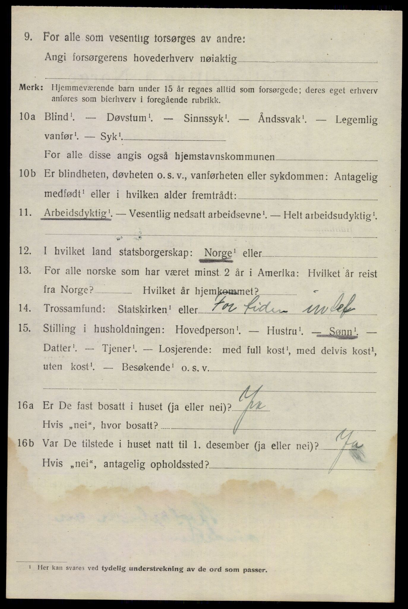 SAKO, 1920 census for Nes (Buskerud), 1920, p. 4321