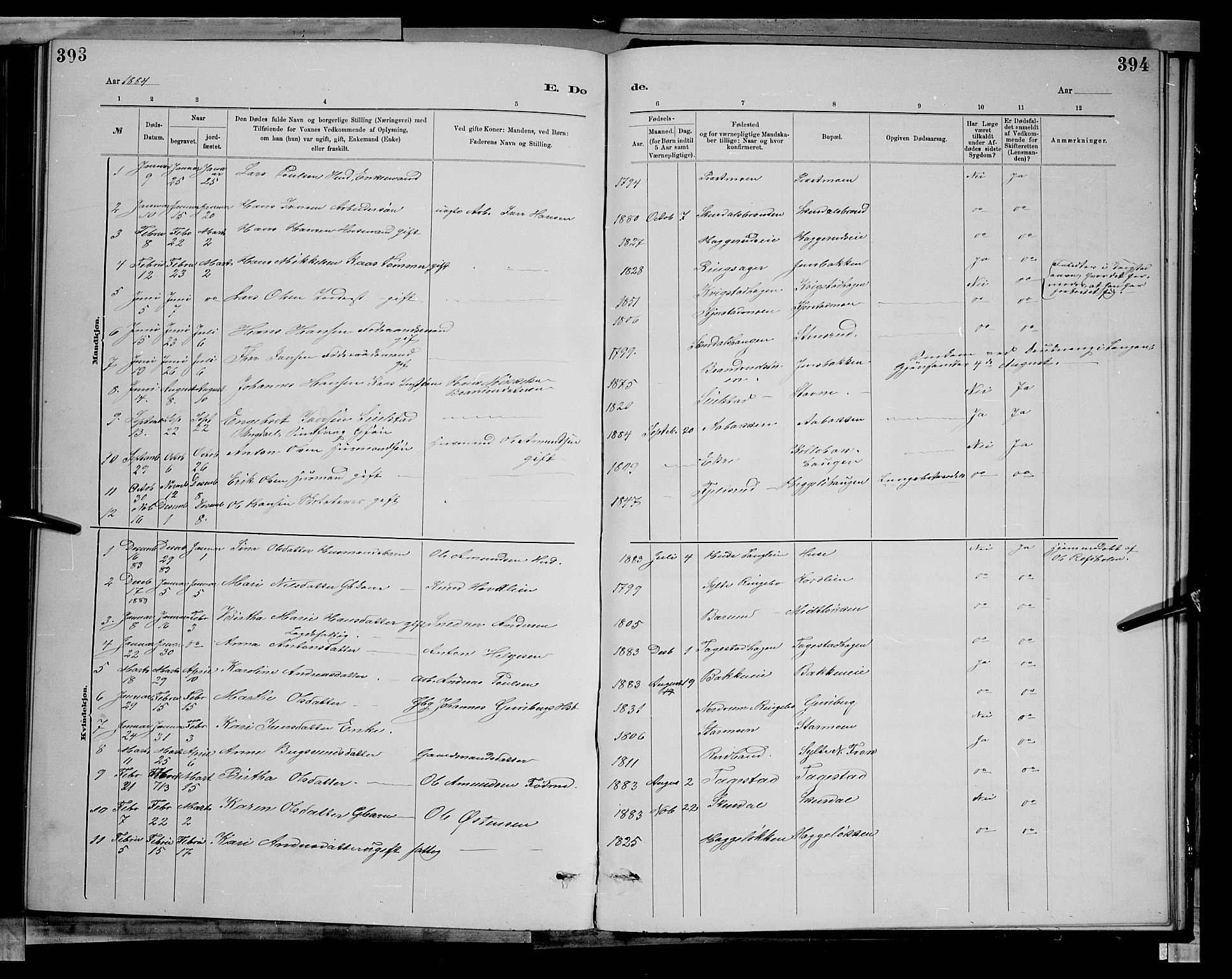 Sør-Fron prestekontor, AV/SAH-PREST-010/H/Ha/Hab/L0003: Parish register (copy) no. 3, 1884-1896, p. 393-394