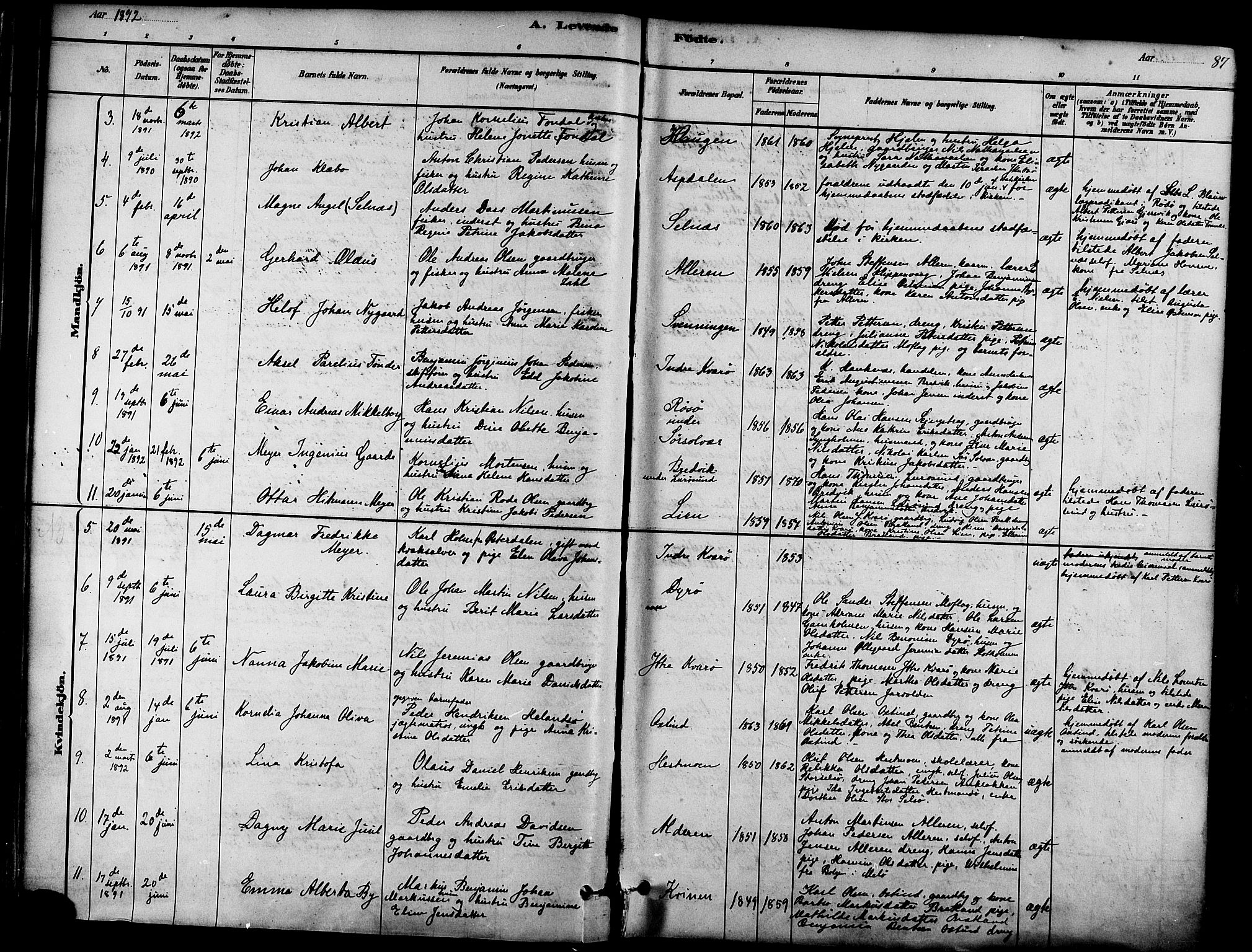 Ministerialprotokoller, klokkerbøker og fødselsregistre - Nordland, SAT/A-1459/839/L0568: Parish register (official) no. 839A05, 1880-1902, p. 87