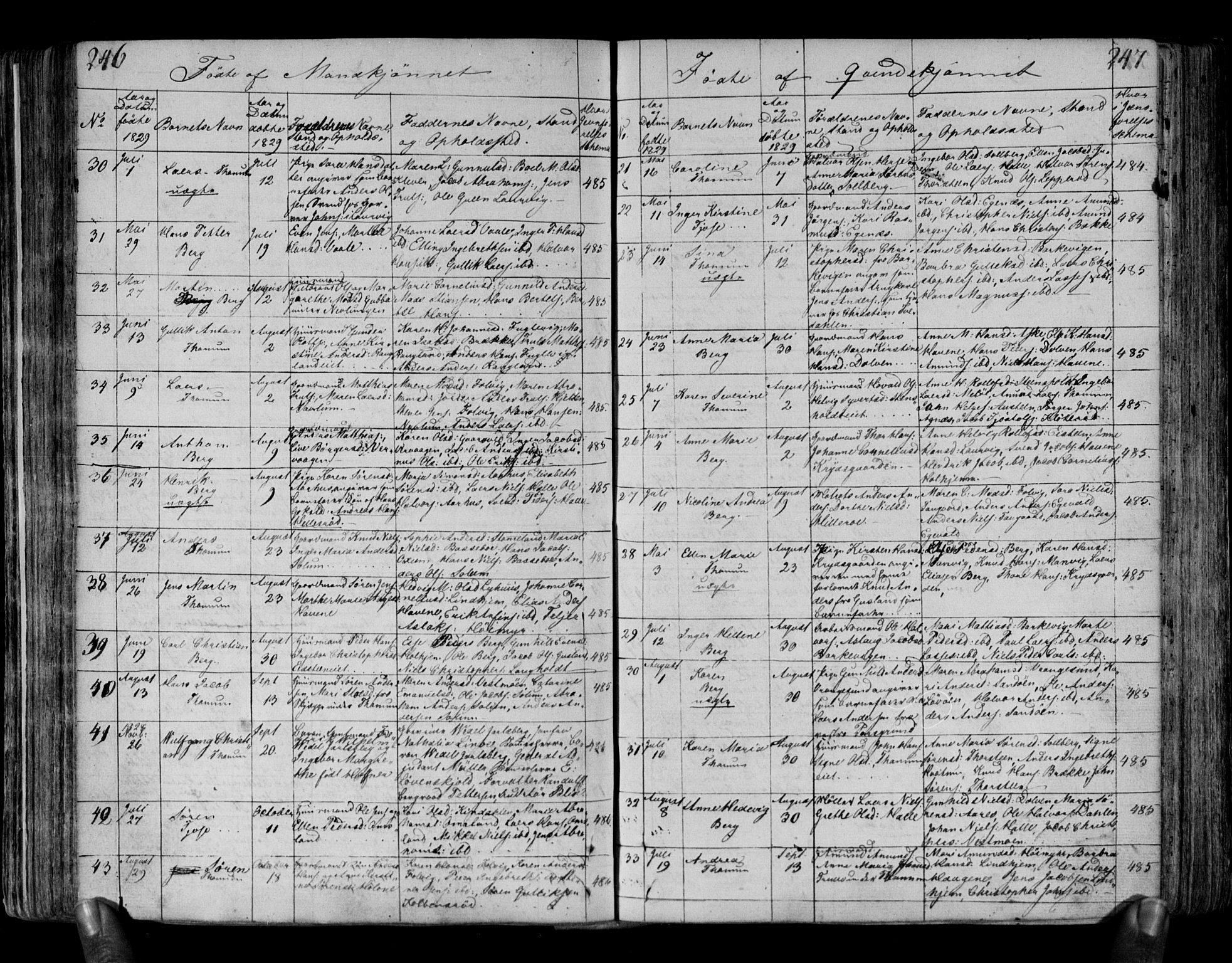 Brunlanes kirkebøker, AV/SAKO-A-342/F/Fa/L0002: Parish register (official) no. I 2, 1802-1834, p. 246-247