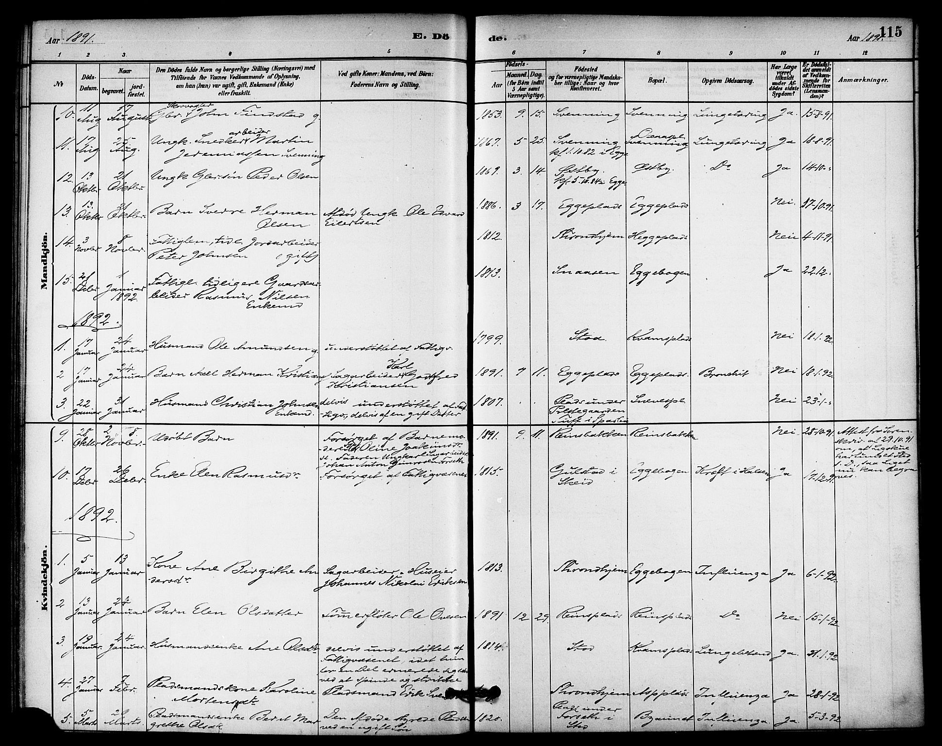 Ministerialprotokoller, klokkerbøker og fødselsregistre - Nord-Trøndelag, SAT/A-1458/740/L0378: Parish register (official) no. 740A01, 1881-1895, p. 115