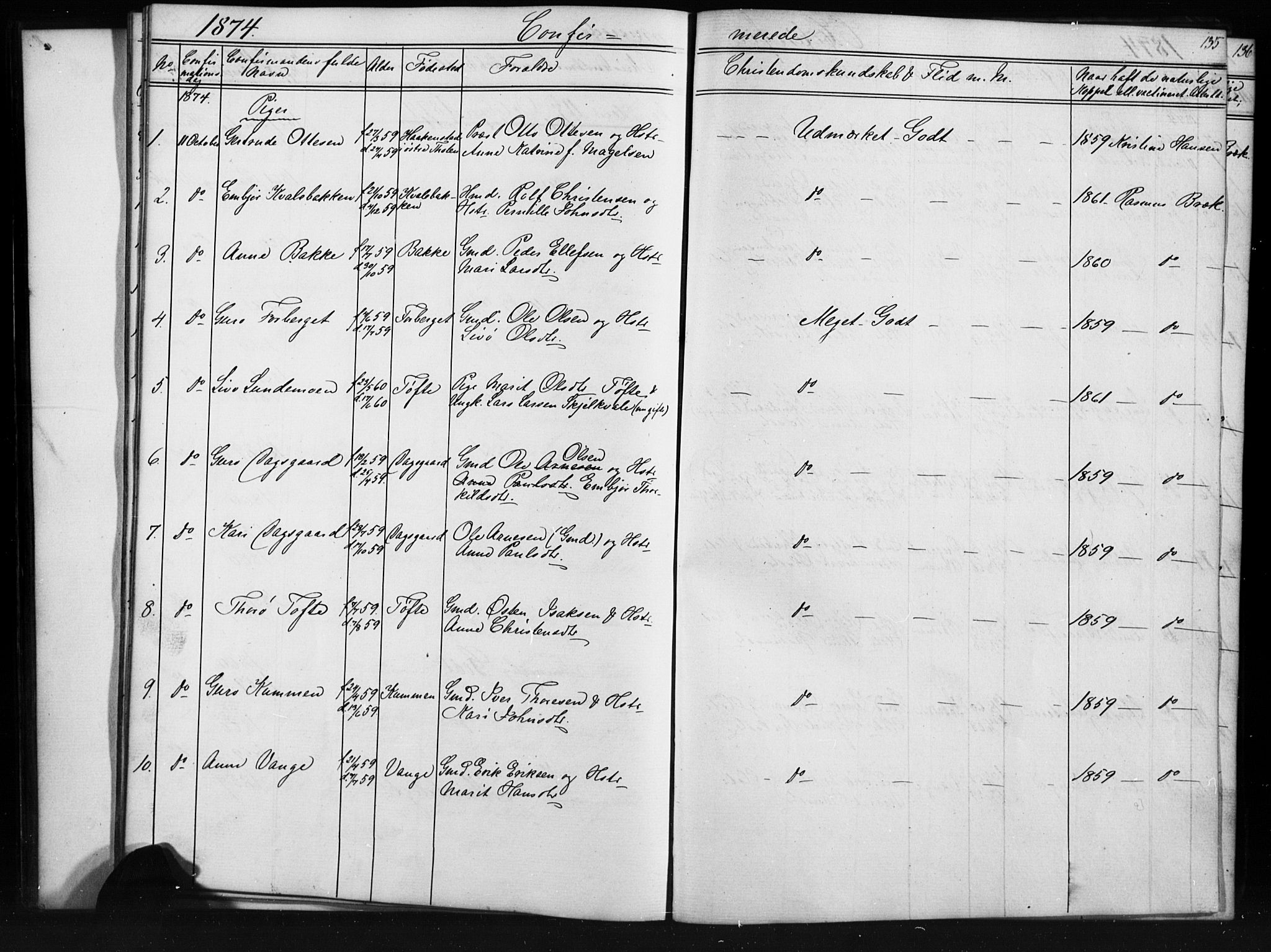 Skjåk prestekontor, AV/SAH-PREST-072/H/Ha/Hab/L0001: Parish register (copy) no. 1, 1865-1893, p. 135