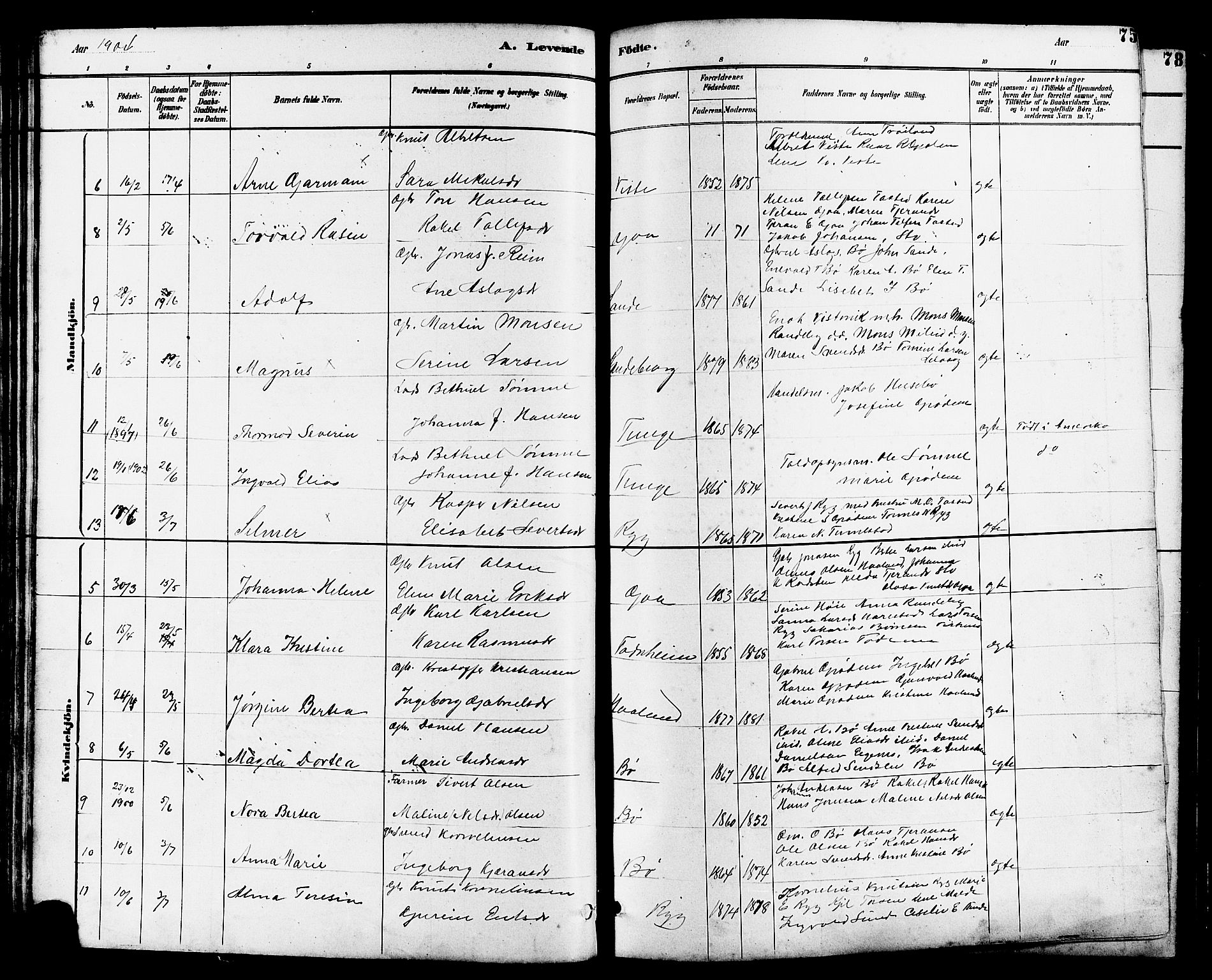 Hetland sokneprestkontor, SAST/A-101826/30/30BB/L0006: Parish register (copy) no. B 6, 1878-1921, p. 75