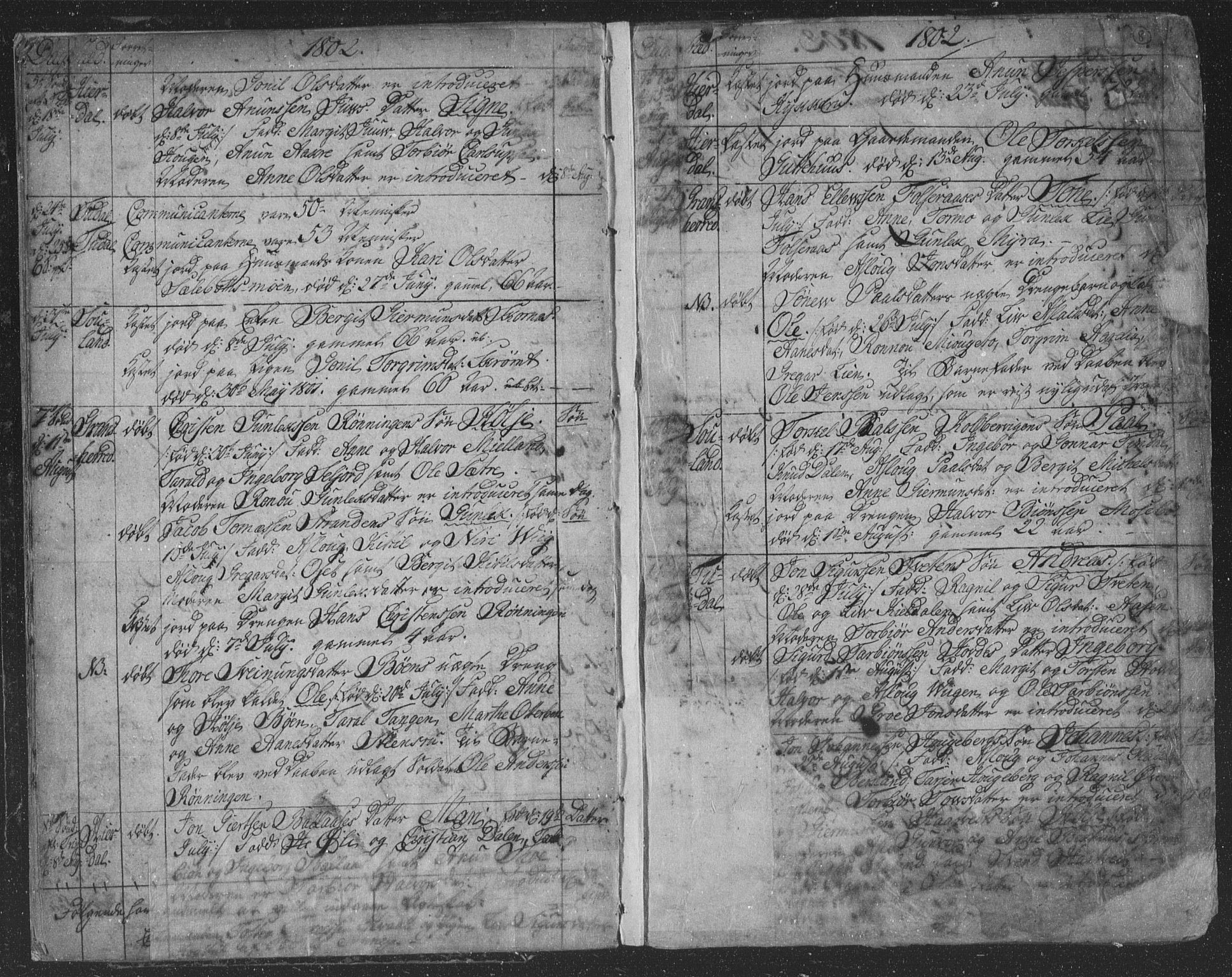 Hjartdal kirkebøker, AV/SAKO-A-270/F/Fa/L0006: Parish register (official) no. I 6, 1801-1814, p. 8