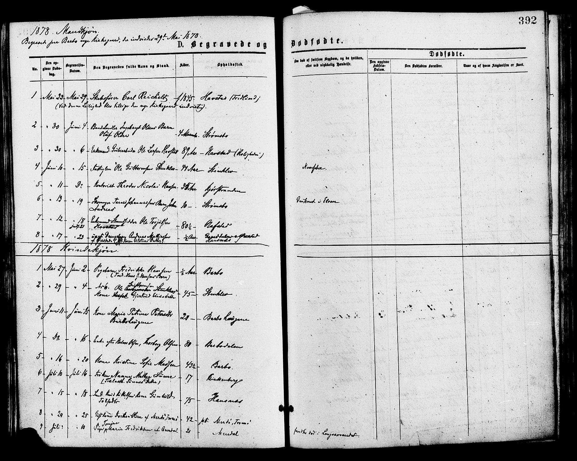 Barbu sokneprestkontor, AV/SAK-1111-0003/F/Fa/L0001: Parish register (official) no. A 1 /1, 1878-1883, p. 392