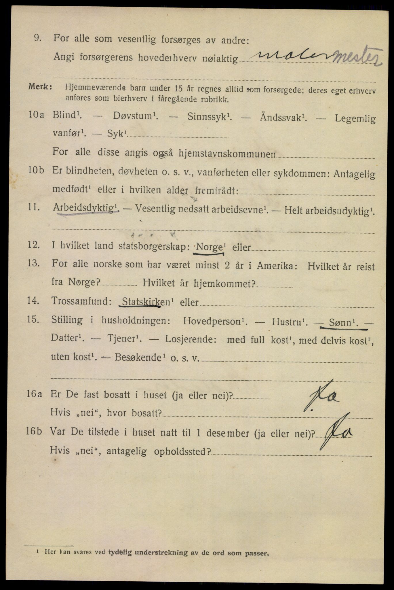 SAKO, 1920 census for Skien, 1920, p. 28605