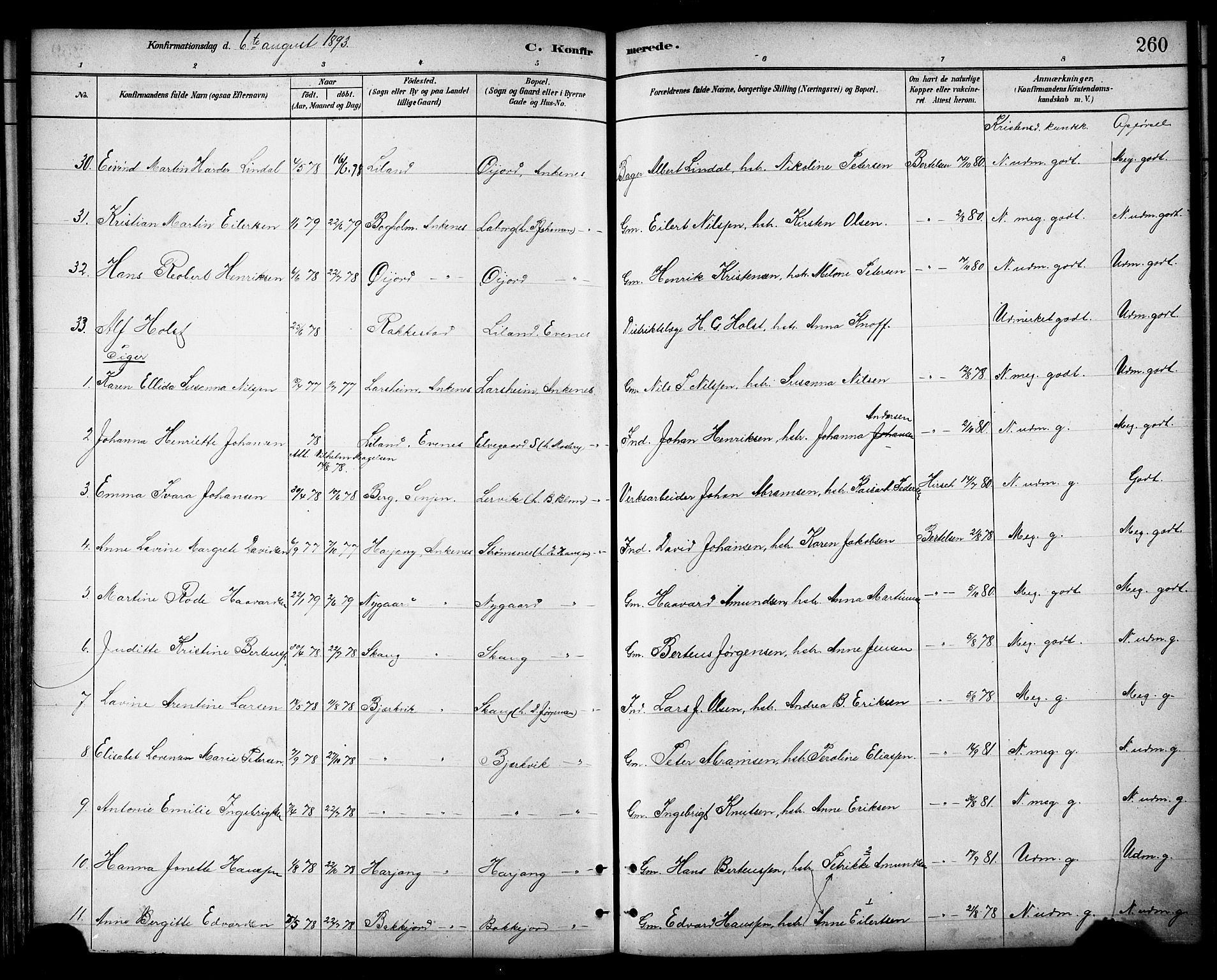 Ministerialprotokoller, klokkerbøker og fødselsregistre - Nordland, AV/SAT-A-1459/866/L0938: Parish register (official) no. 866A01, 1879-1893, p. 260