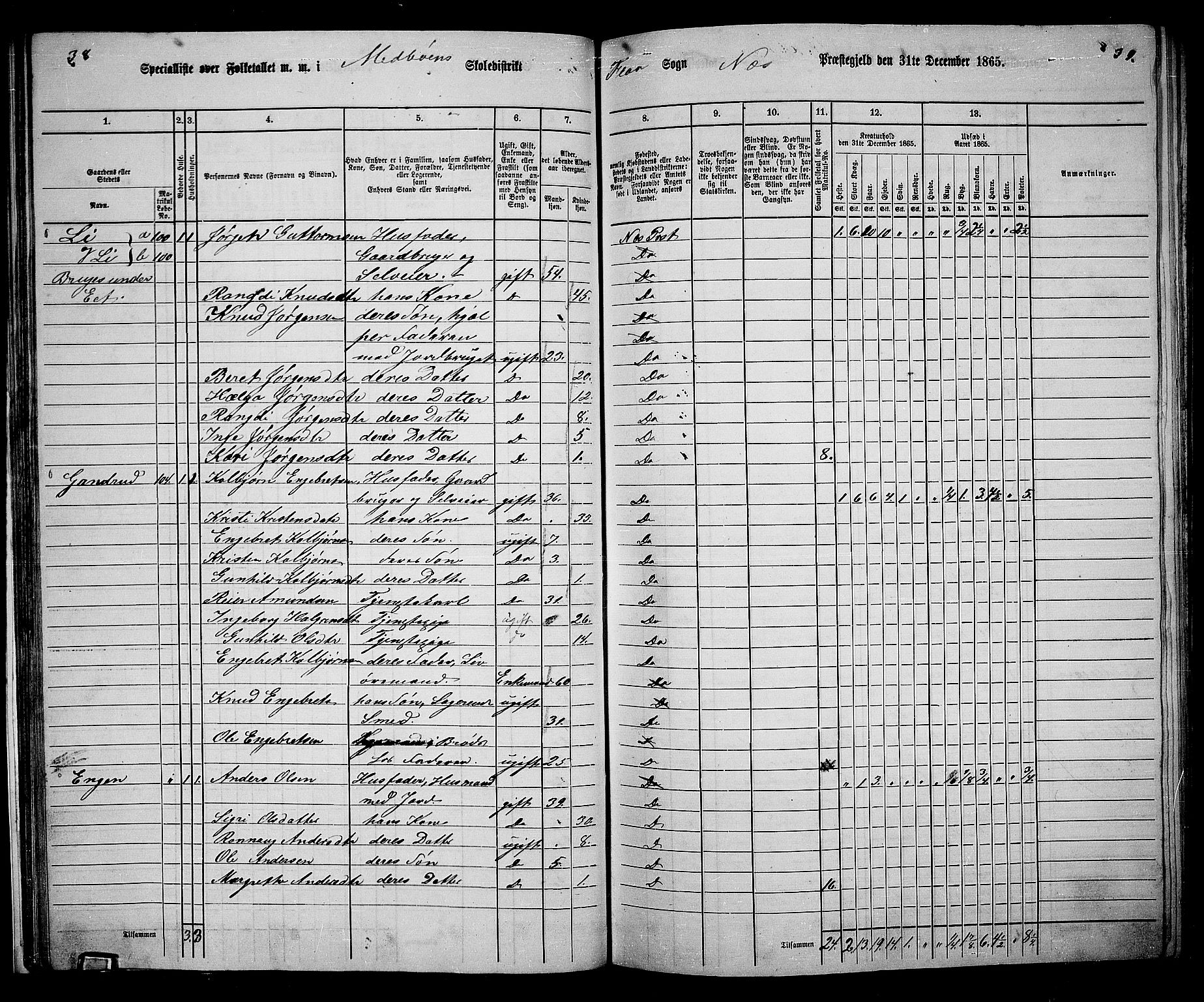 RA, 1865 census for Nes, 1865, p. 37