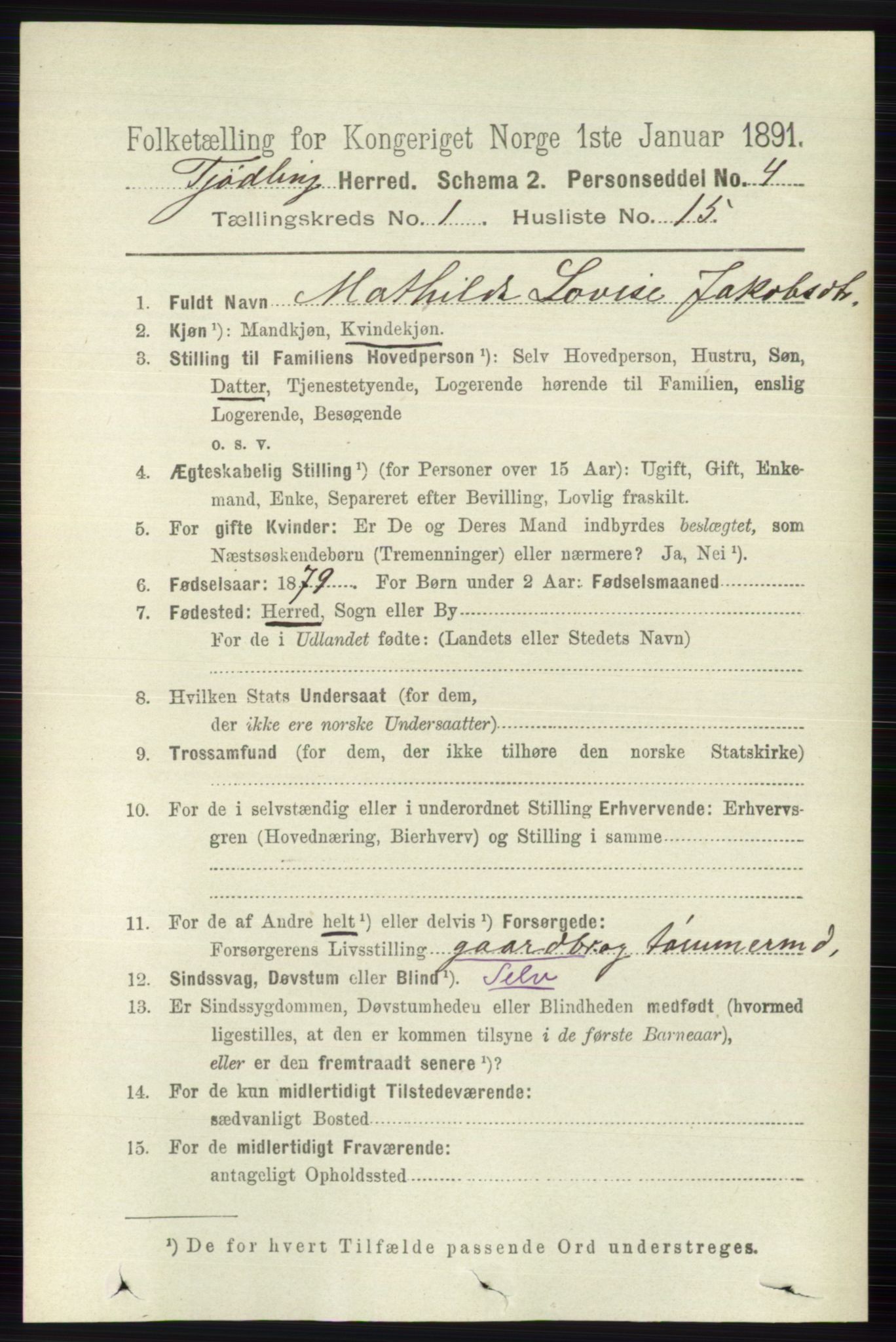 RA, 1891 census for 0725 Tjølling, 1891, p. 185