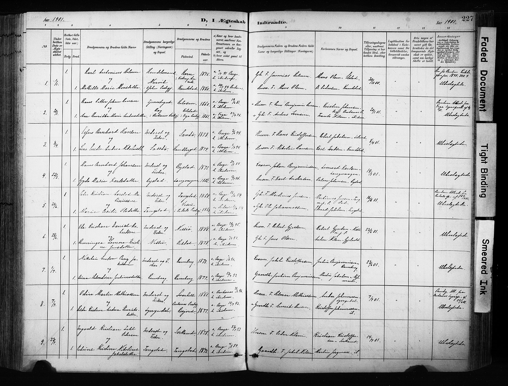 Ministerialprotokoller, klokkerbøker og fødselsregistre - Nordland, AV/SAT-A-1459/880/L1134: Parish register (official) no. 880A08, 1899-1908, p. 227