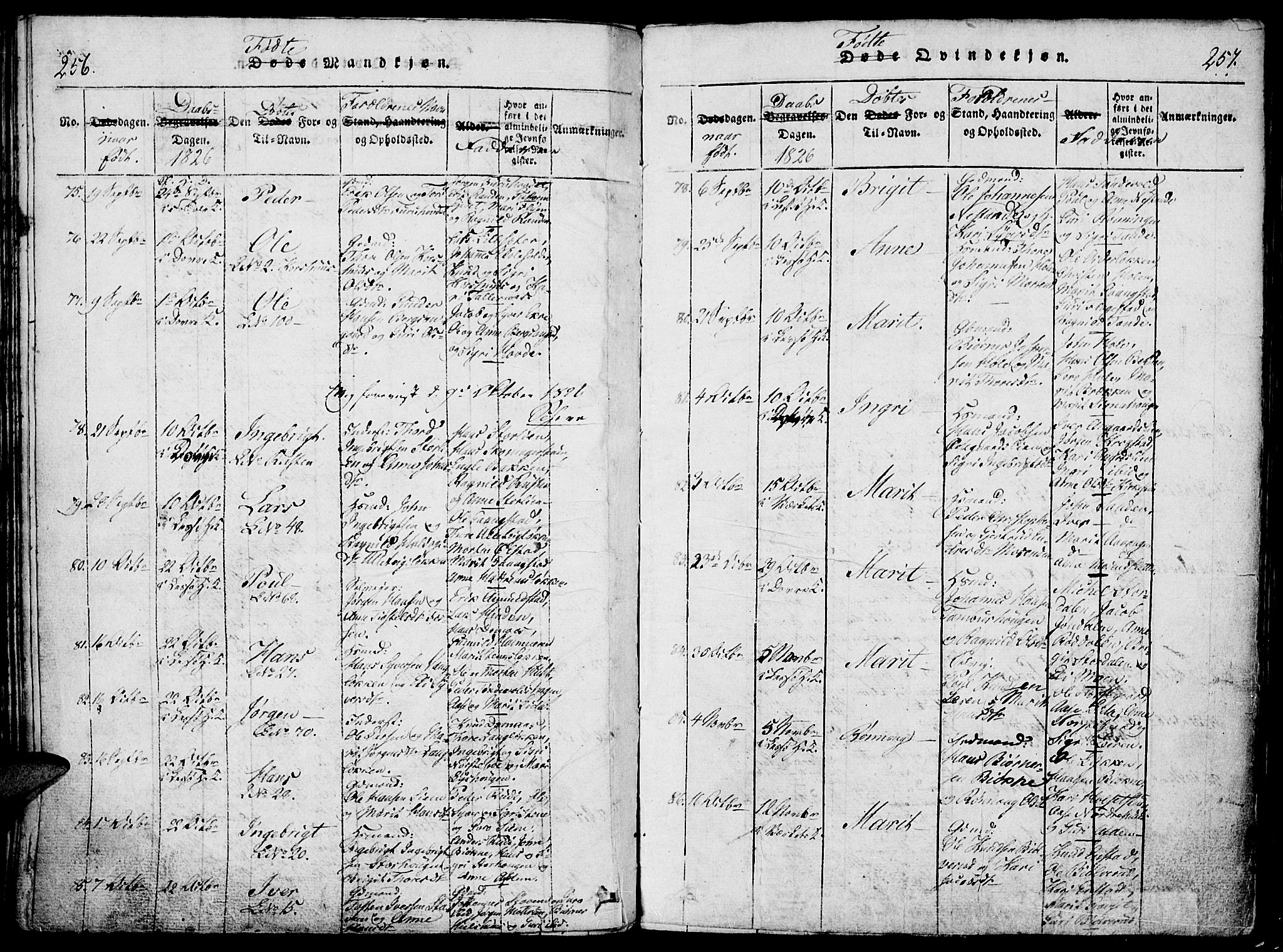 Lesja prestekontor, SAH/PREST-068/H/Ha/Haa/L0004: Parish register (official) no. 4, 1820-1829, p. 256-257