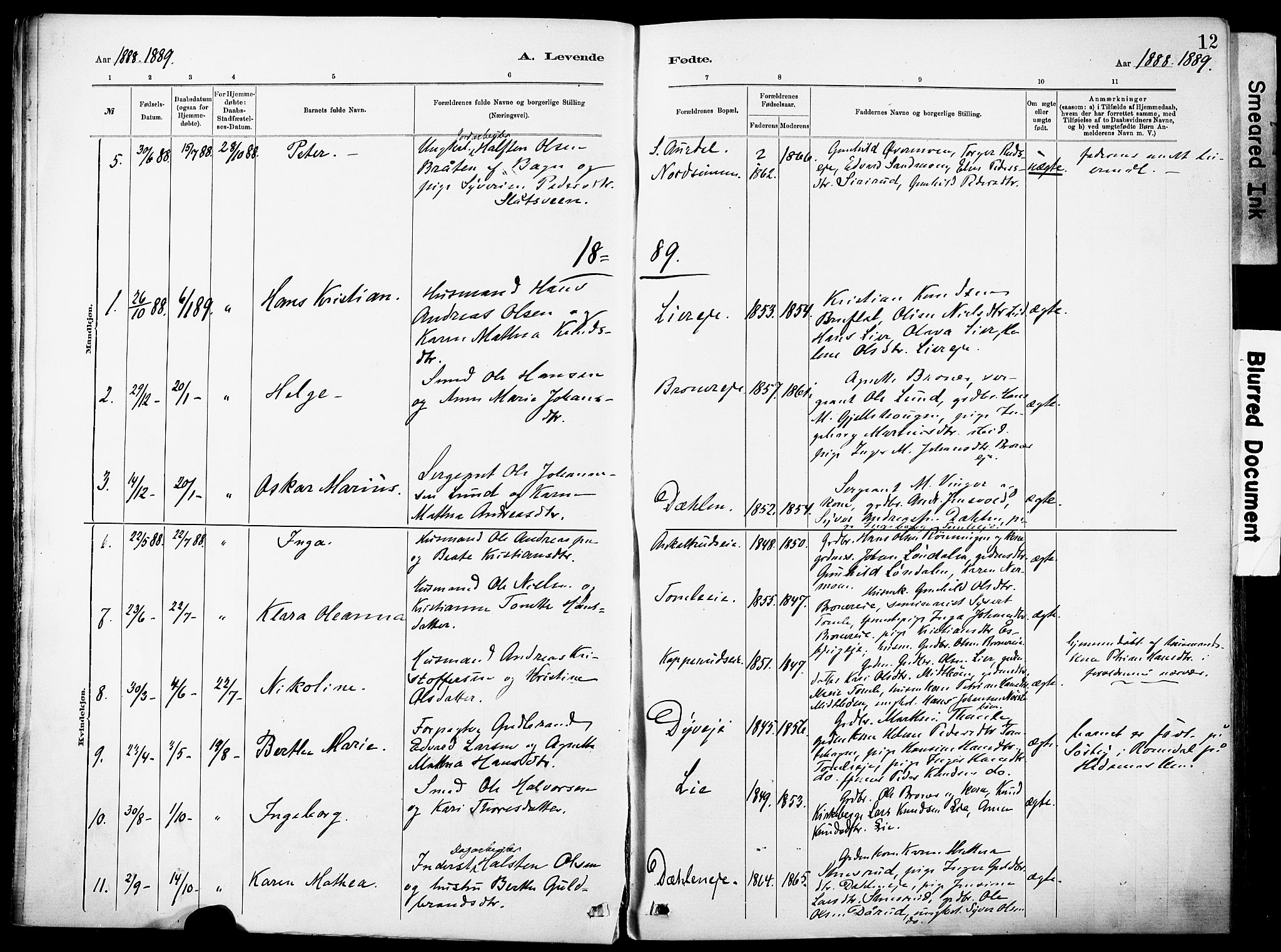 Nordre Land prestekontor, SAH/PREST-124/H/Ha/Haa/L0005: Parish register (official) no. 5, 1882-1903, p. 12