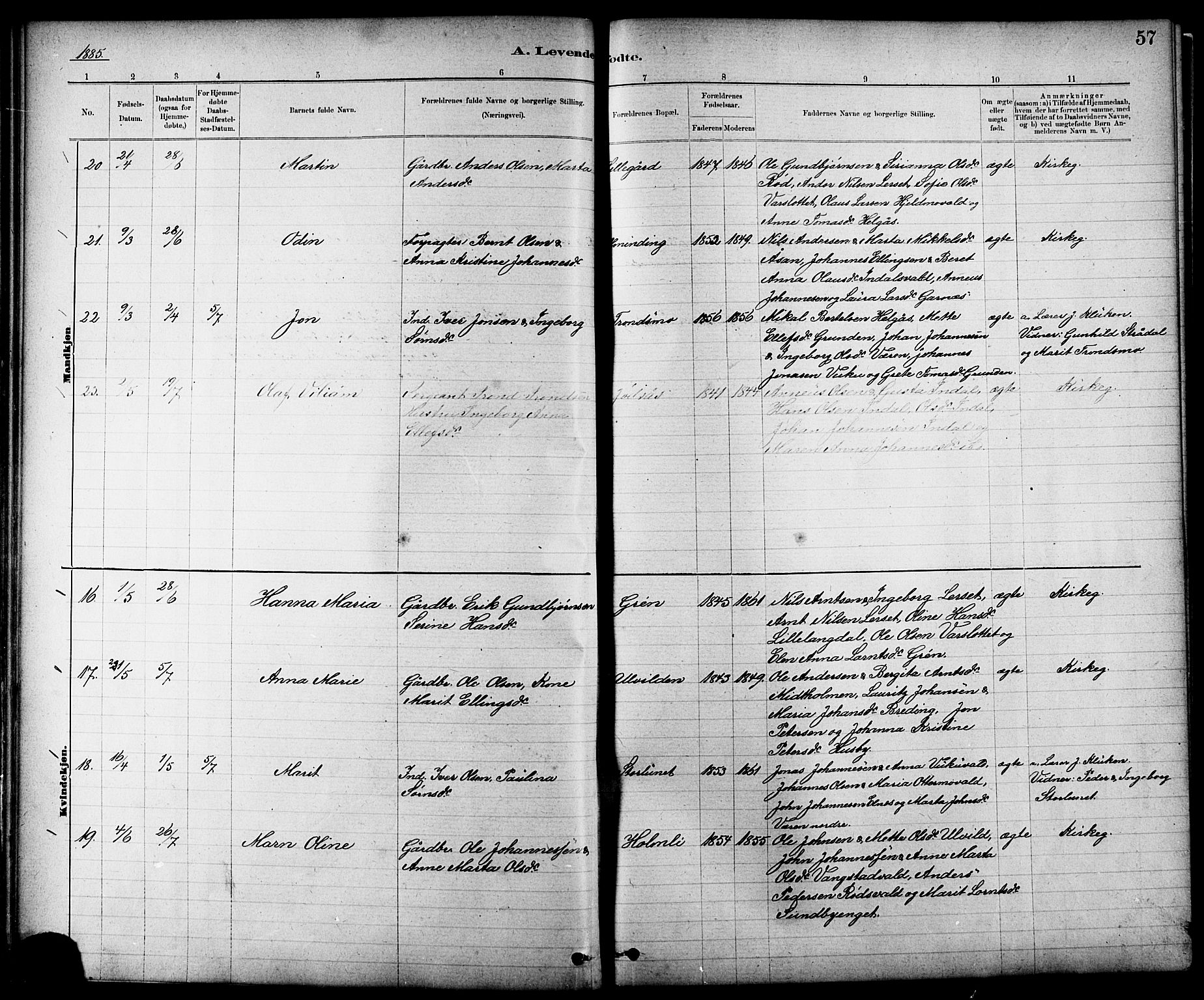 Ministerialprotokoller, klokkerbøker og fødselsregistre - Nord-Trøndelag, AV/SAT-A-1458/724/L0267: Parish register (copy) no. 724C03, 1879-1898, p. 57