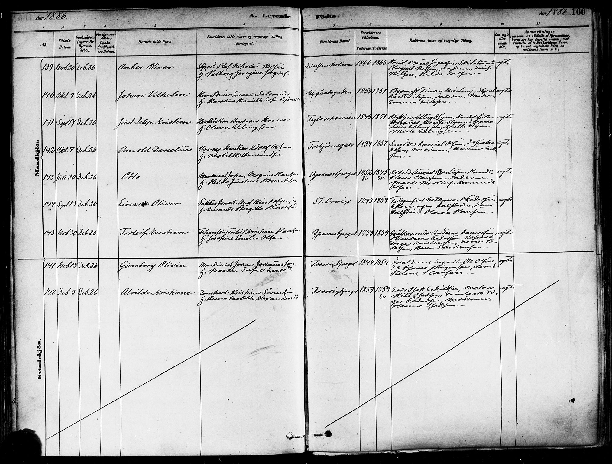 Fredrikstad domkirkes prestekontor Kirkebøker, AV/SAO-A-10906/F/Fa/L0002: Parish register (official) no. 2, 1878-1894, p. 166