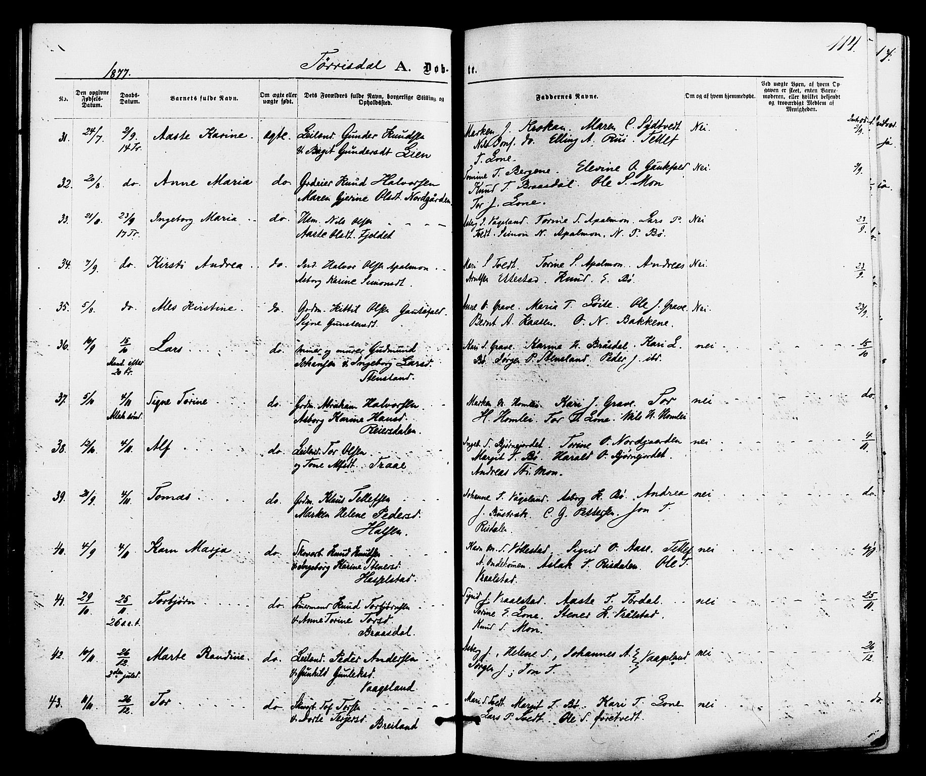 Drangedal kirkebøker, SAKO/A-258/F/Fa/L0009: Parish register (official) no. 9 /2, 1872-1884, p. 114