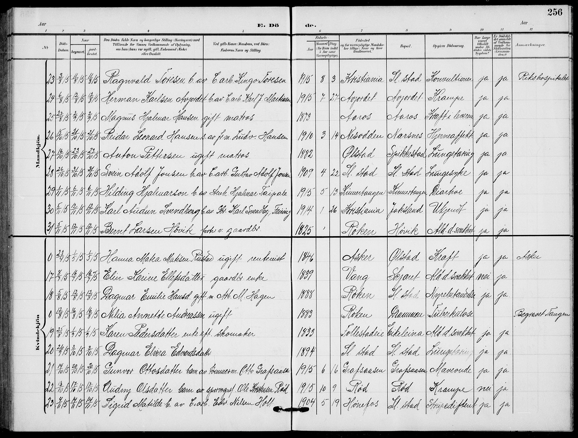 Røyken kirkebøker, SAKO/A-241/G/Ga/L0005: Parish register (copy) no. 5, 1903-1918, p. 256