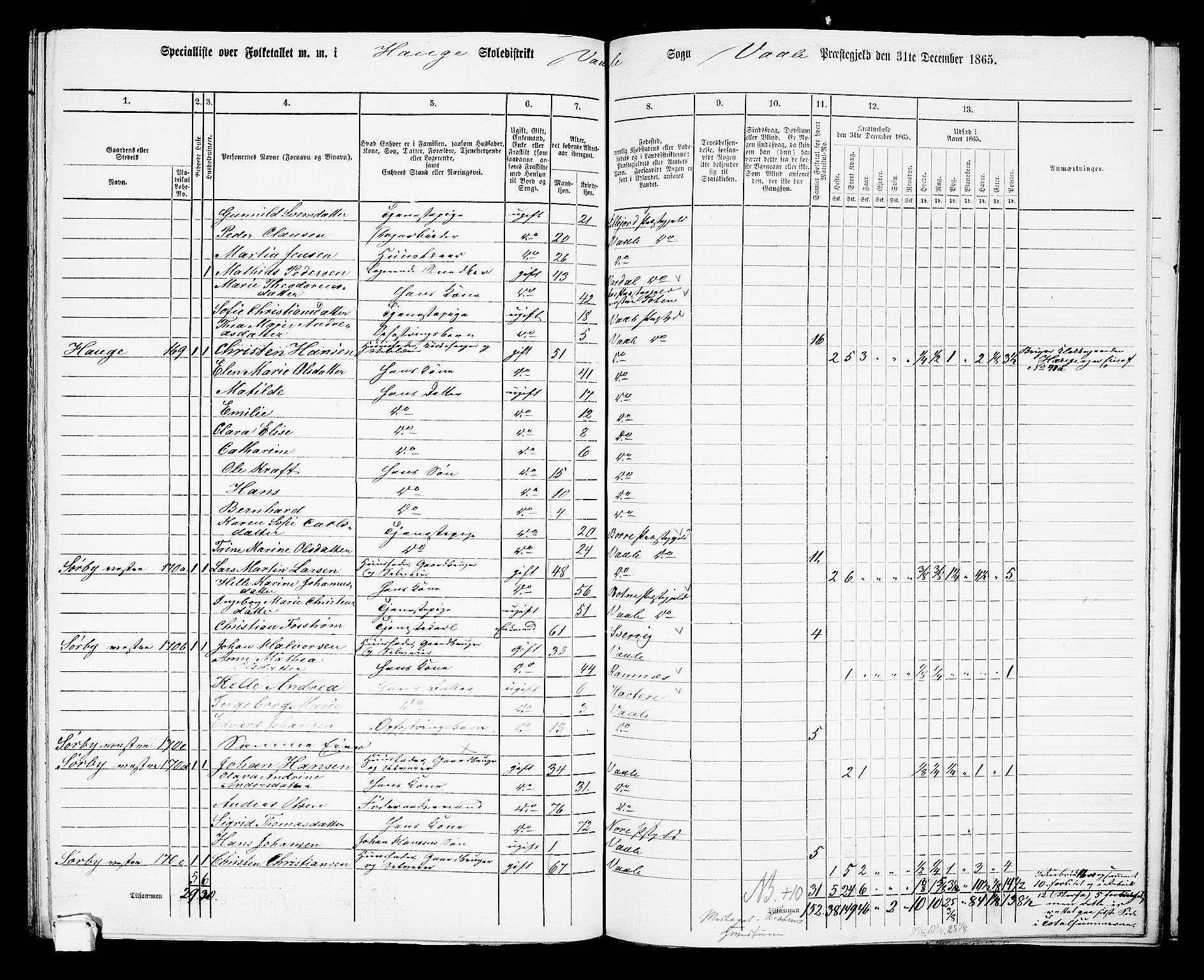 RA, 1865 census for Våle, 1865, p. 63