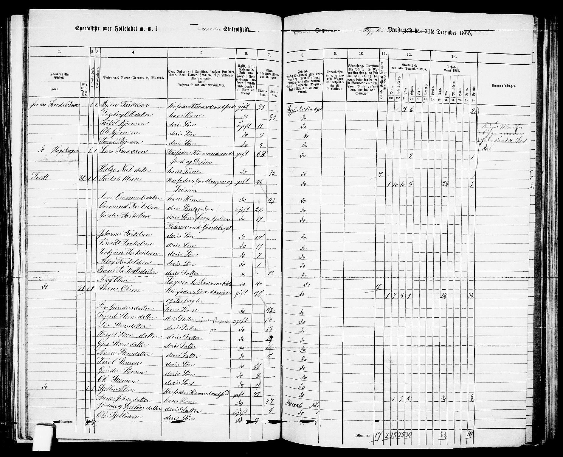 RA, 1865 census for Bygland, 1865, p. 15