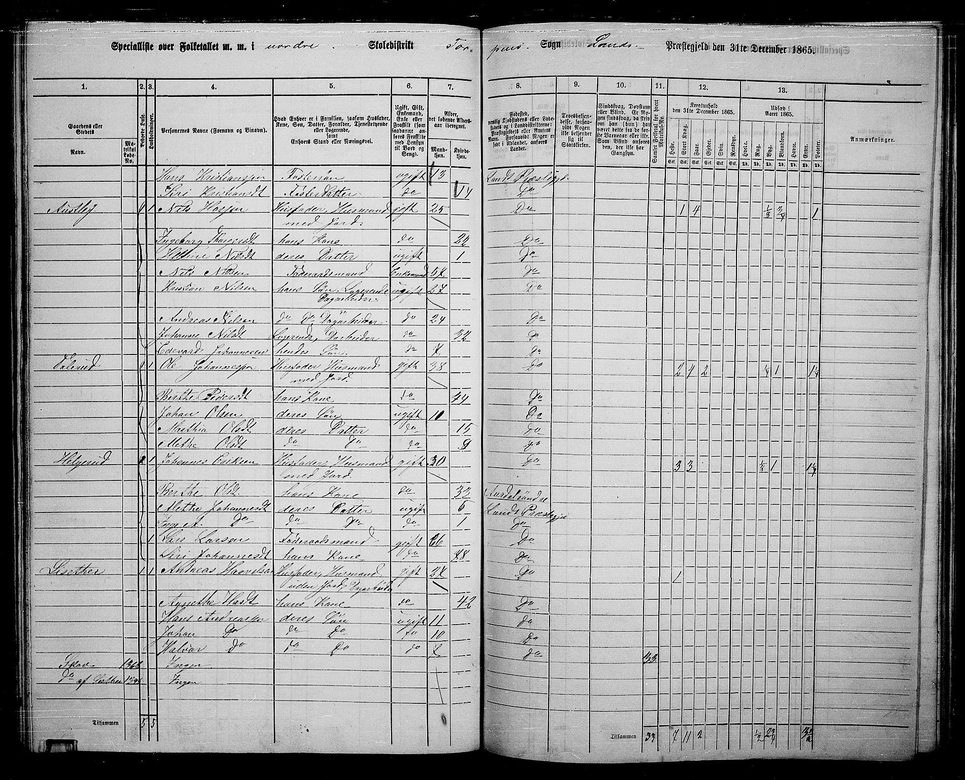 RA, 1865 census for Land, 1865, p. 146