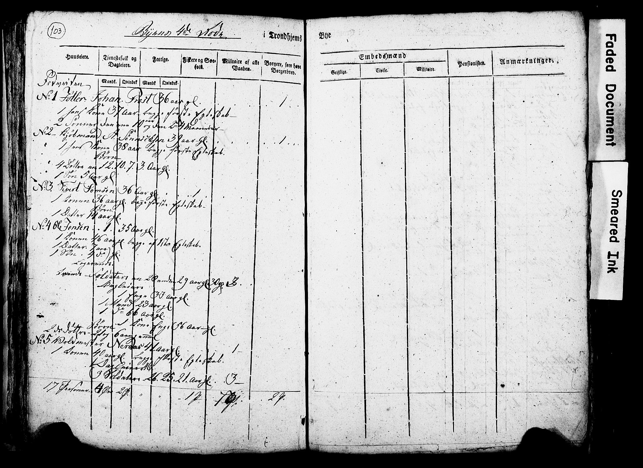 RA, Census 1815 for Trondheim, 1815, p. 102