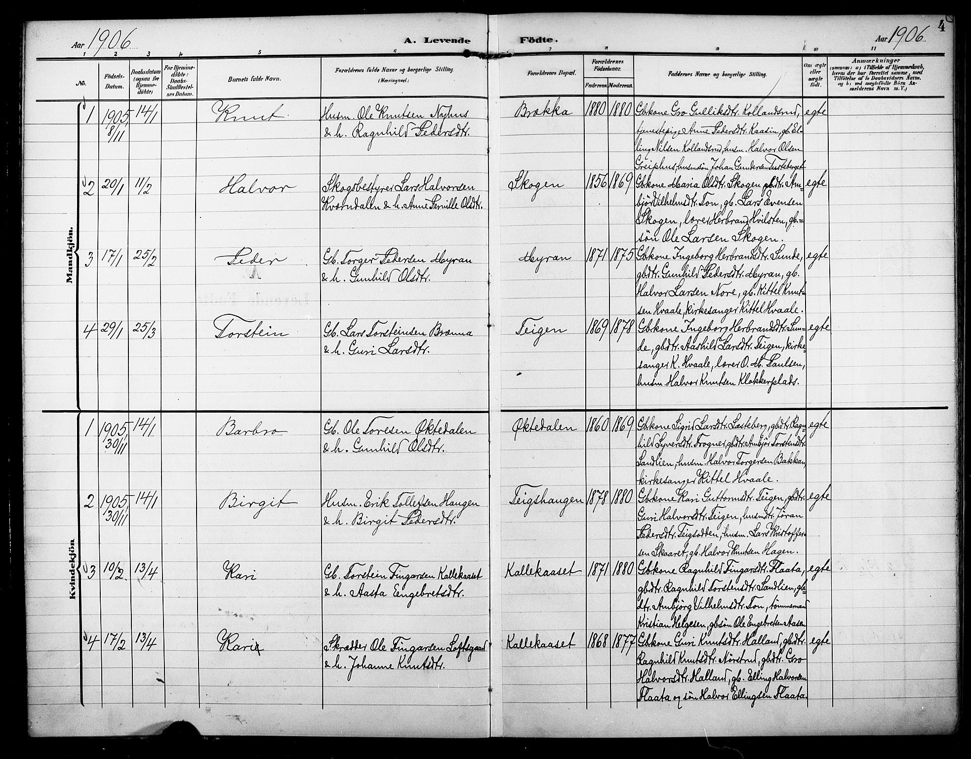 Nore kirkebøker, AV/SAKO-A-238/F/Fb/L0003: Parish register (official) no. II 3, 1906-1926, p. 4