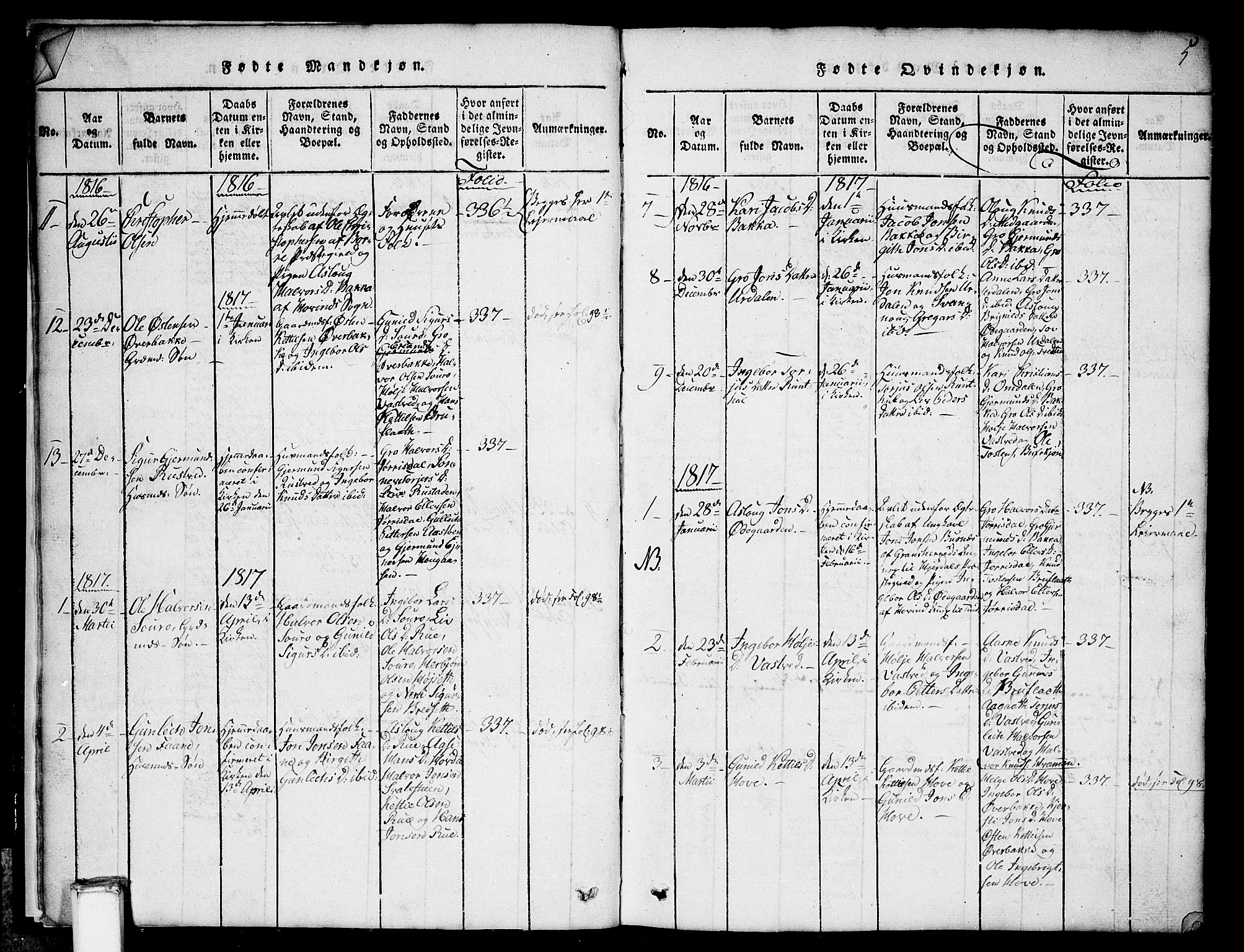Gransherad kirkebøker, SAKO/A-267/G/Gb/L0001: Parish register (copy) no. II 1, 1815-1860, p. 5