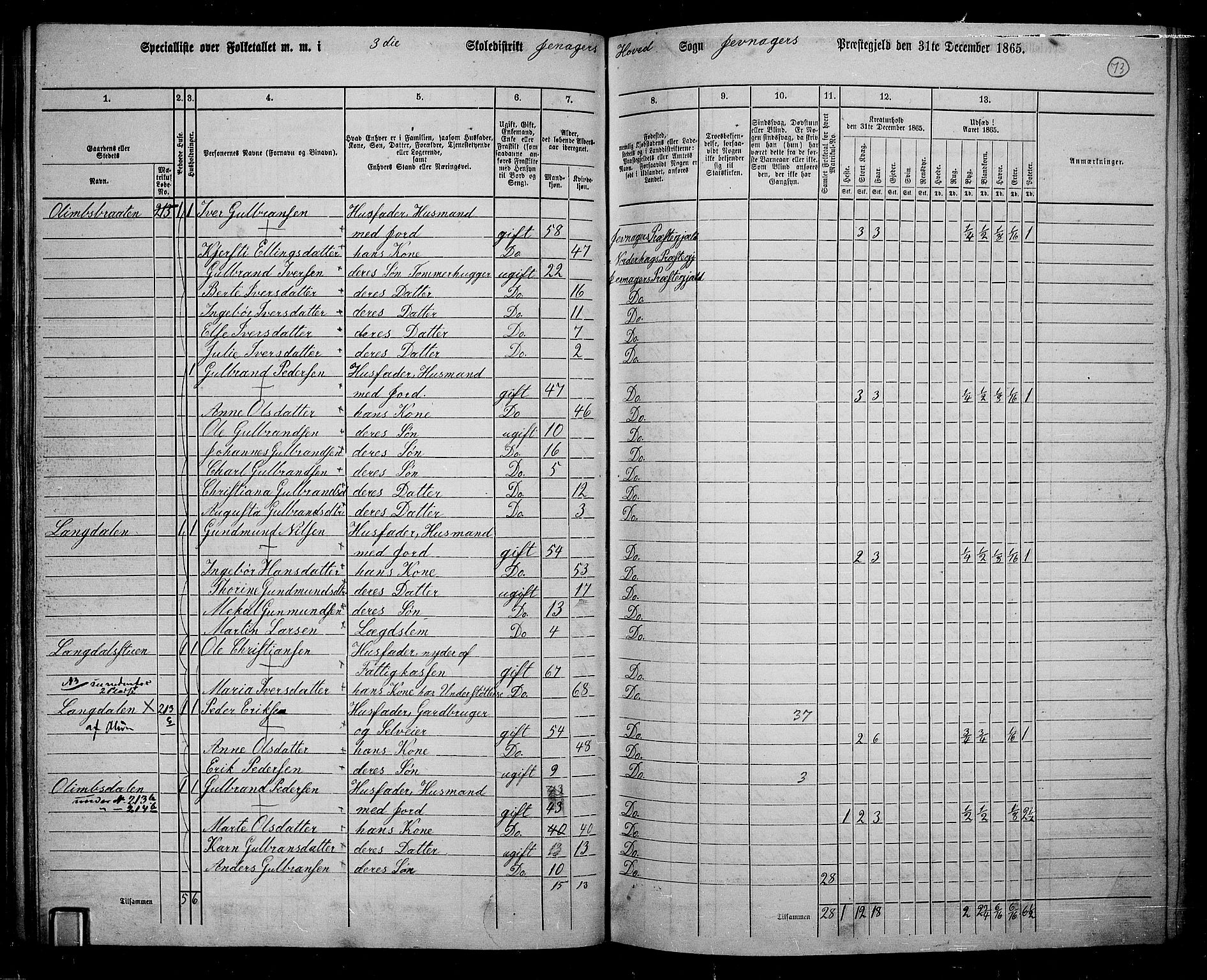 RA, 1865 census for Jevnaker, 1865, p. 71