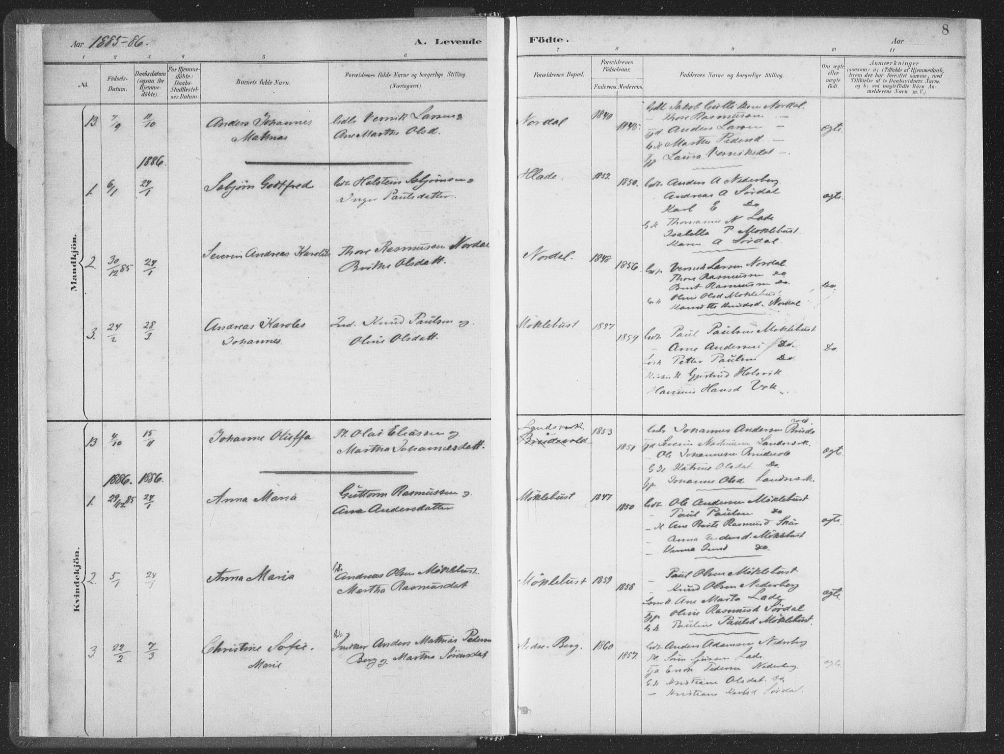 Ministerialprotokoller, klokkerbøker og fødselsregistre - Møre og Romsdal, AV/SAT-A-1454/502/L0025: Parish register (official) no. 502A03, 1885-1909, p. 8