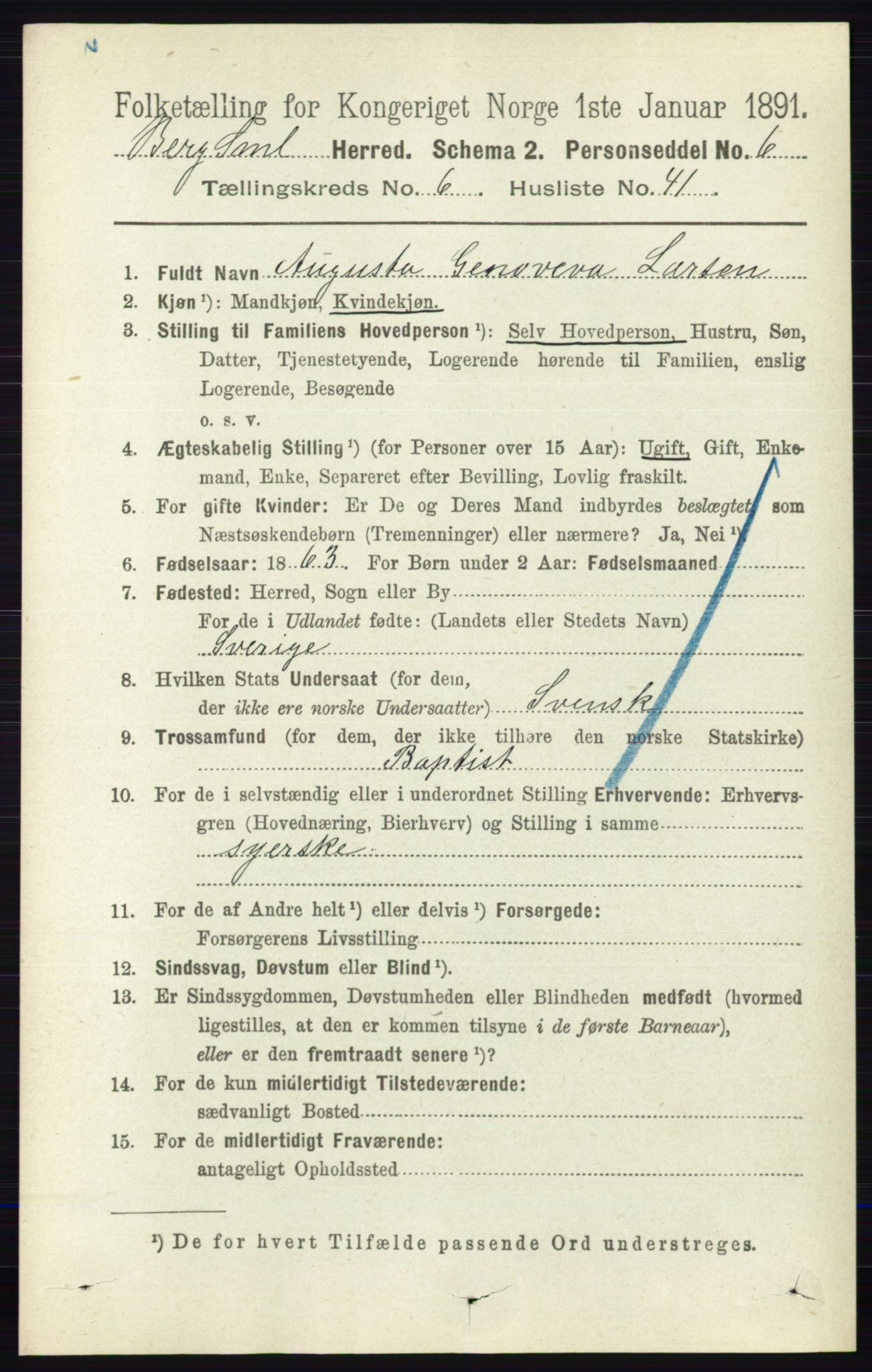 RA, 1891 census for 0116 Berg, 1891, p. 4452